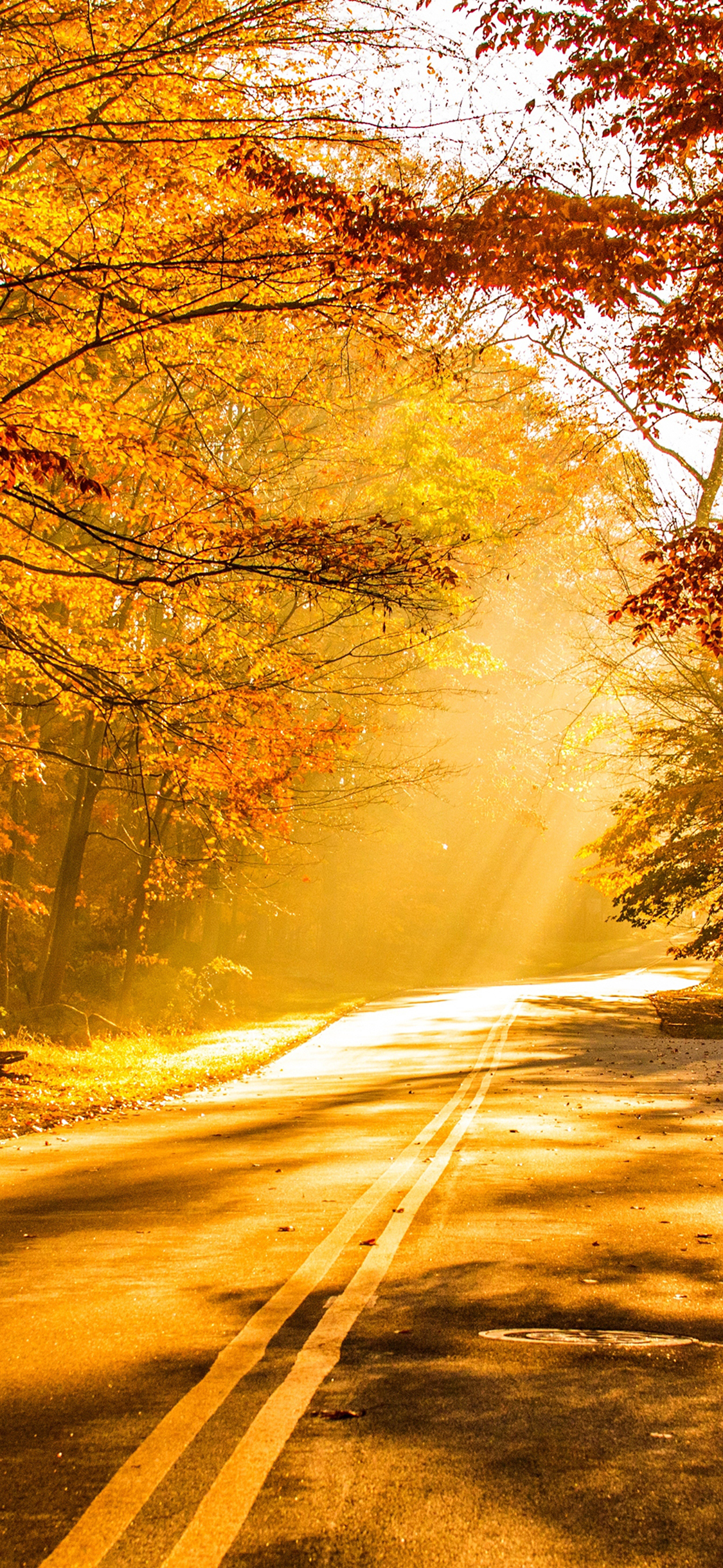 4K Fall Wallpaper for Desktop, iPad & iPhone