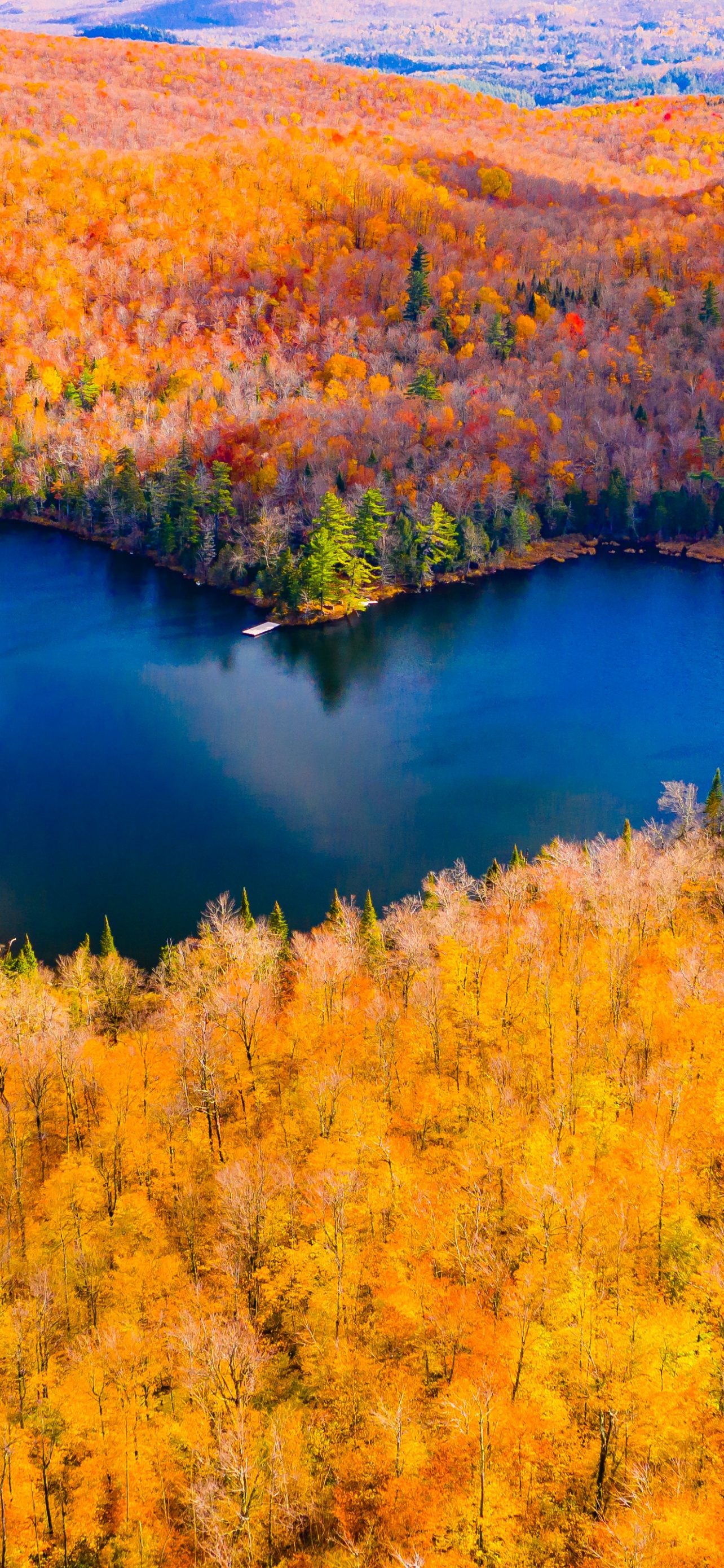 Heart Shaped Lake Wallpaper 4K, Autumn Forest, Fall Colors