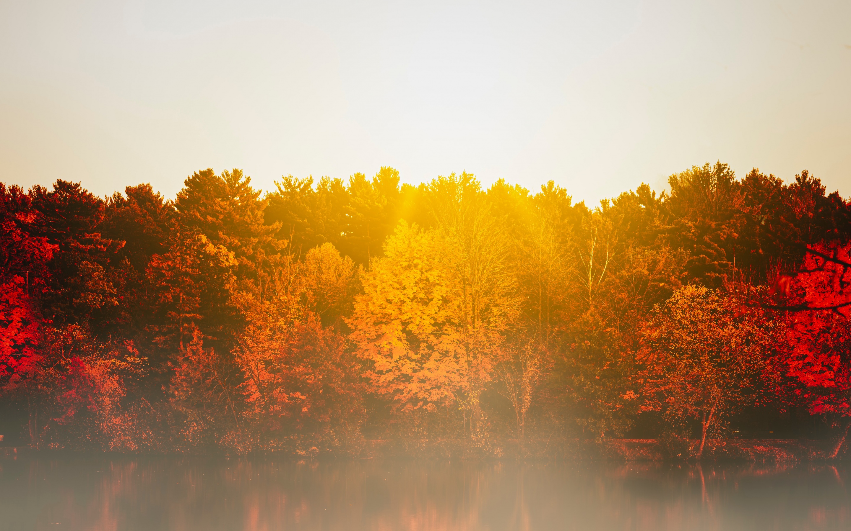 Autumn trees Wallpaper 4K, Body of Water, Sunflare, Sunrise
