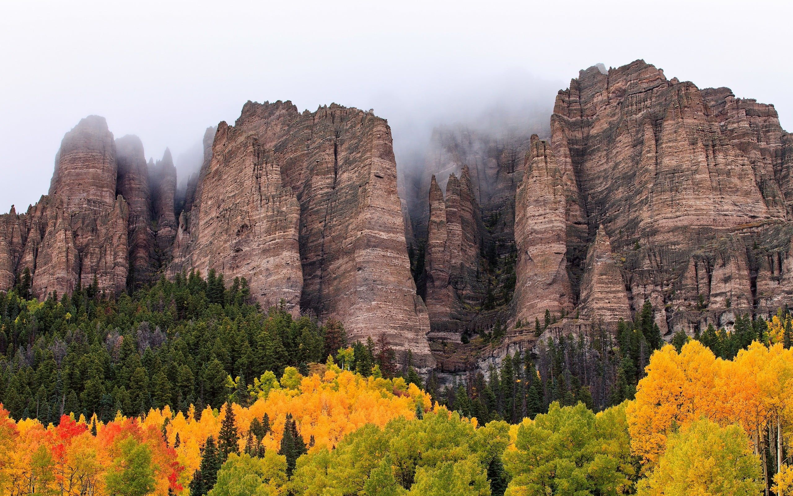 green leafed tree #mountains #forest #rock #cliff #mist #nature #landscape #trees #fall #clouds K #wallp. Autumn forest, Amazing nature photo, Nature wallpaper