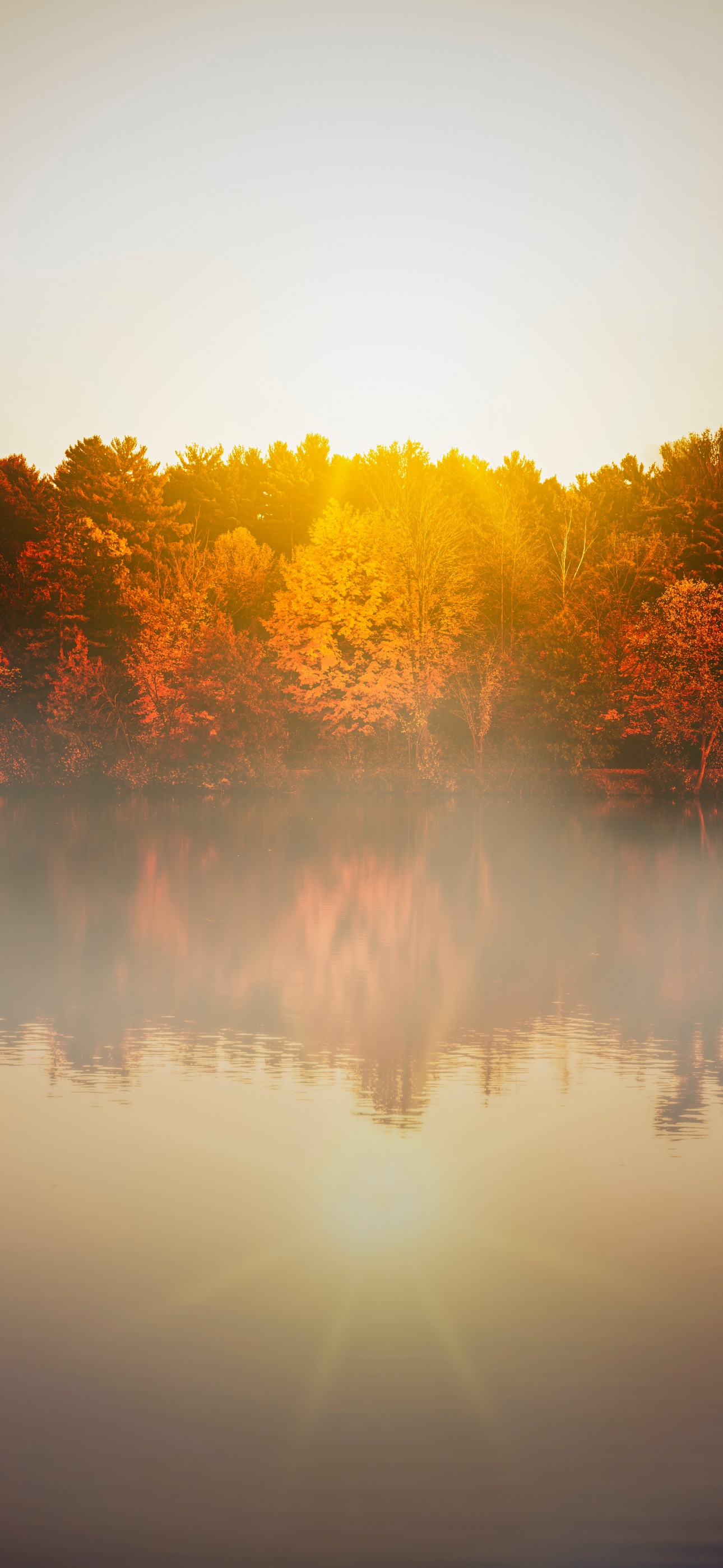 Autumn trees Wallpaper 4K, Body of Water, Sunflare, Sunrise