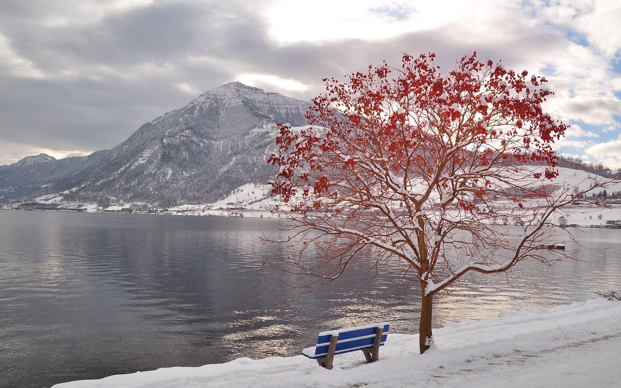 Download wallpaper 2560x1600 tree, bench, leaves, autumn, october, freezing, mountain, lake HD background