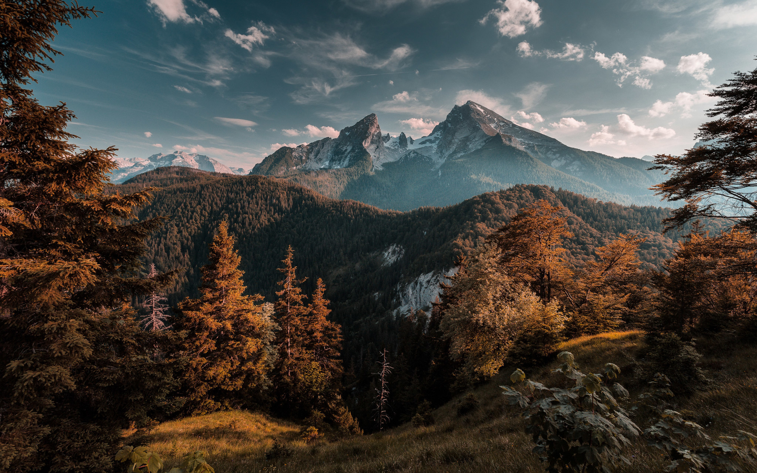Wallpaper Green and Brown Trees Near Mountain Under Blue Sky During Daytime, Background Free Image