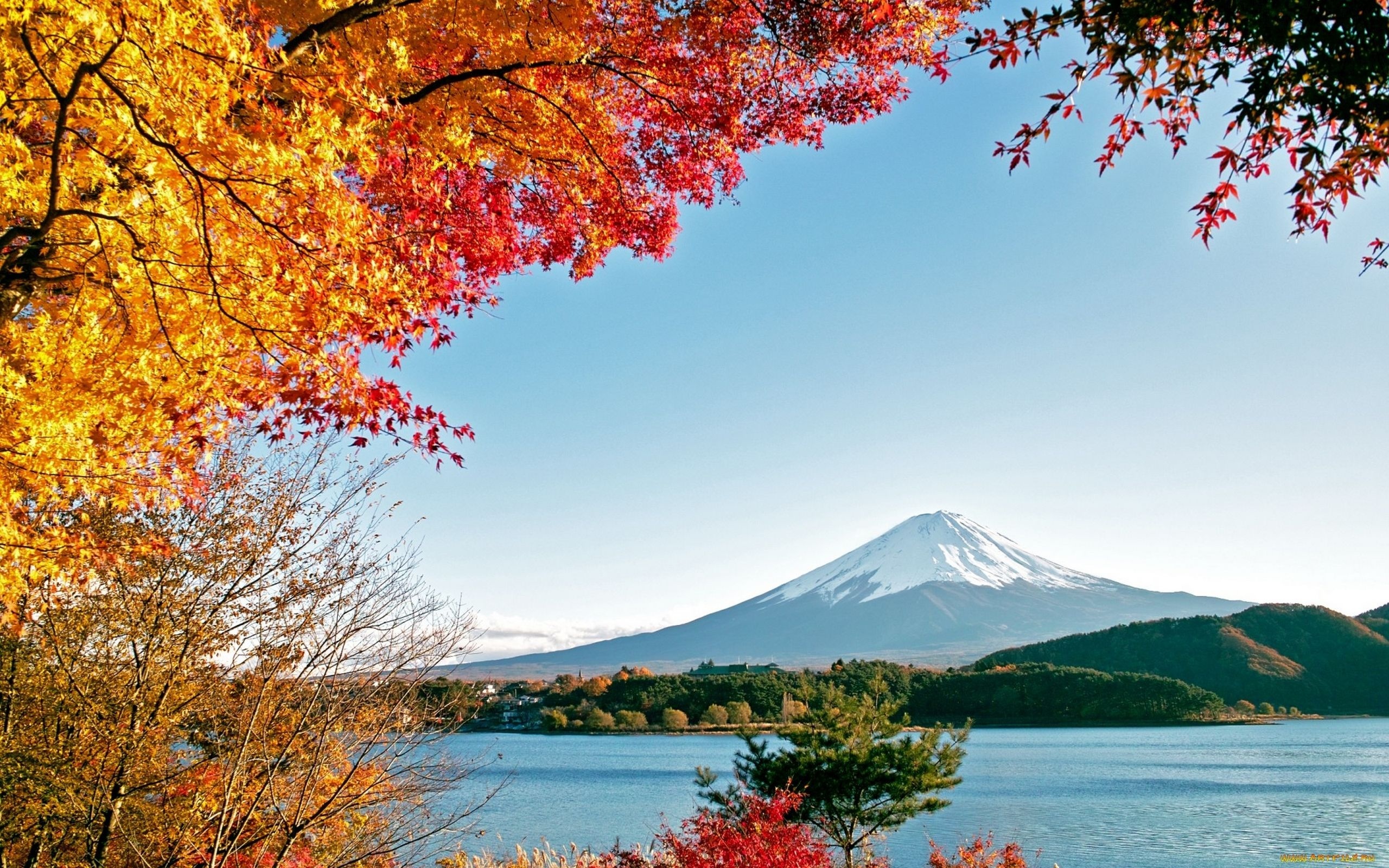 Wallpaper. Golden autumn. photo. picture. Fuji, autumn, mountains, trees, yellow leaves