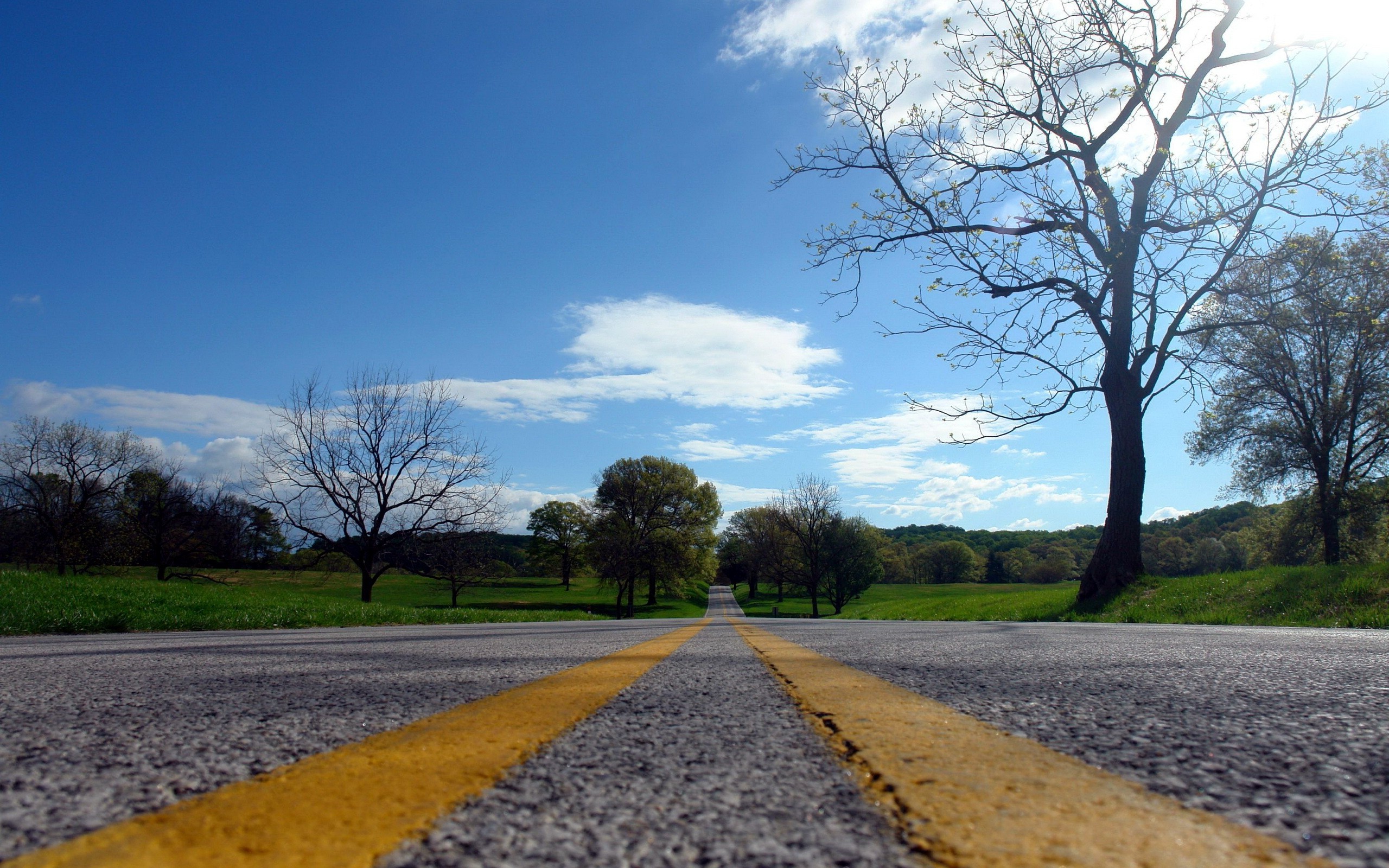 Wallpaper, sunlight, landscape, hill, nature, grass, sky, field, road, morning, cloud, tree, autumn, mountain, flower, season, meadow, 2560x1600 px, rural area, woody plant 2560x1600