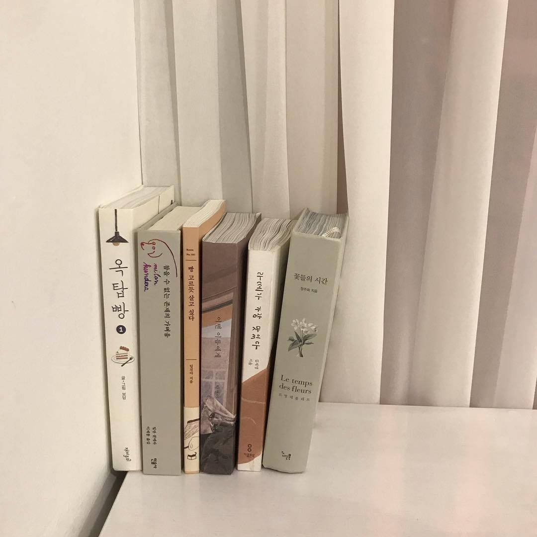 Download Beige Aesthetic Korean Books Wallpaper