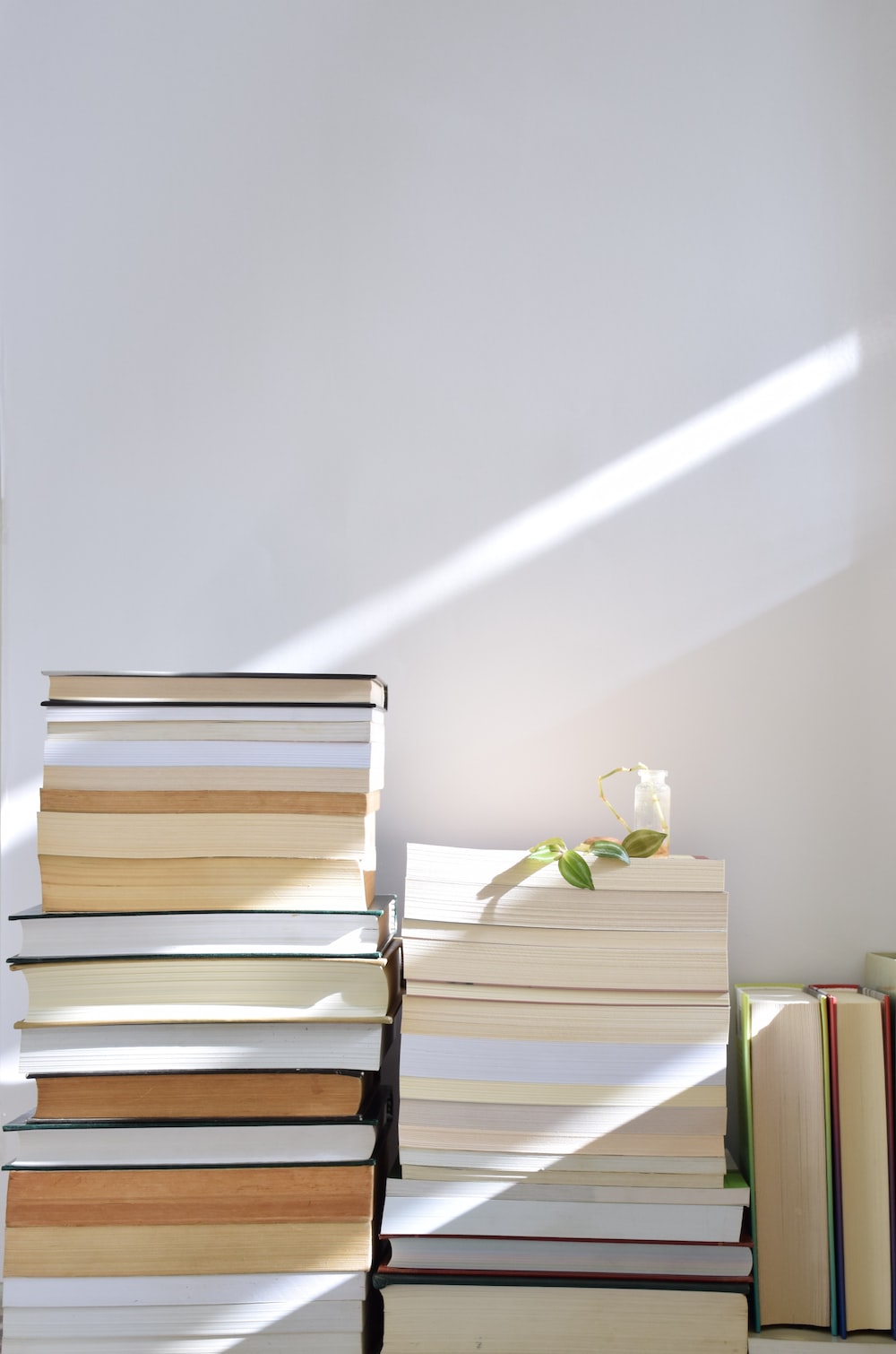 Aesthetic Books Picture. Download Free Image