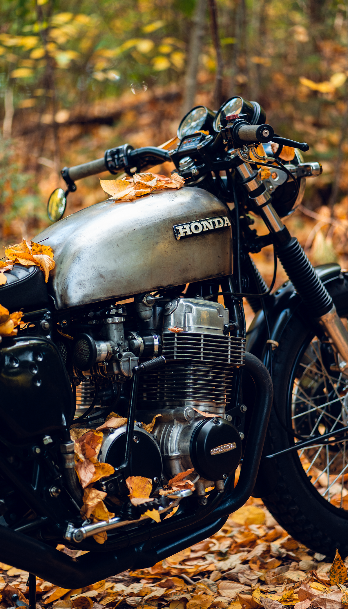 Custom Honda CB 750 in Autumn Foliage. Cafe racer bikes, Cafe racer motorcycle, Motorcycle
