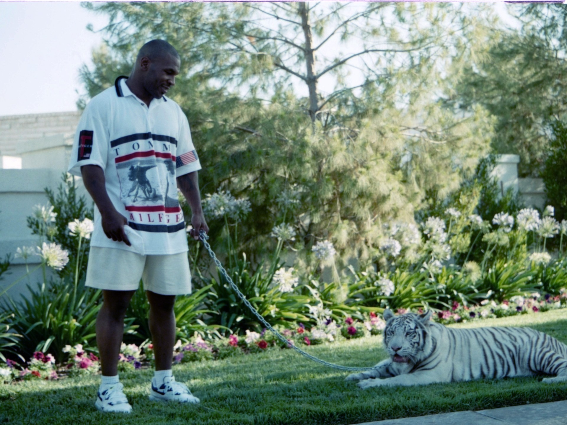 Mike Tyson recalls story of when his pet tigers 'ripped someone's arm off' and he paid $000 in compensation