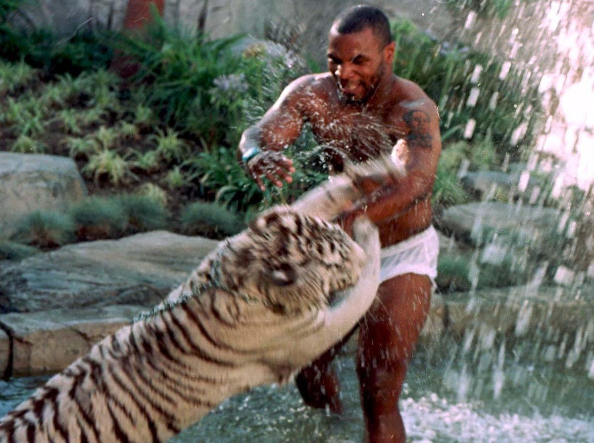Mike Tyson Chokes Bengal Tiger in Throwback Photo