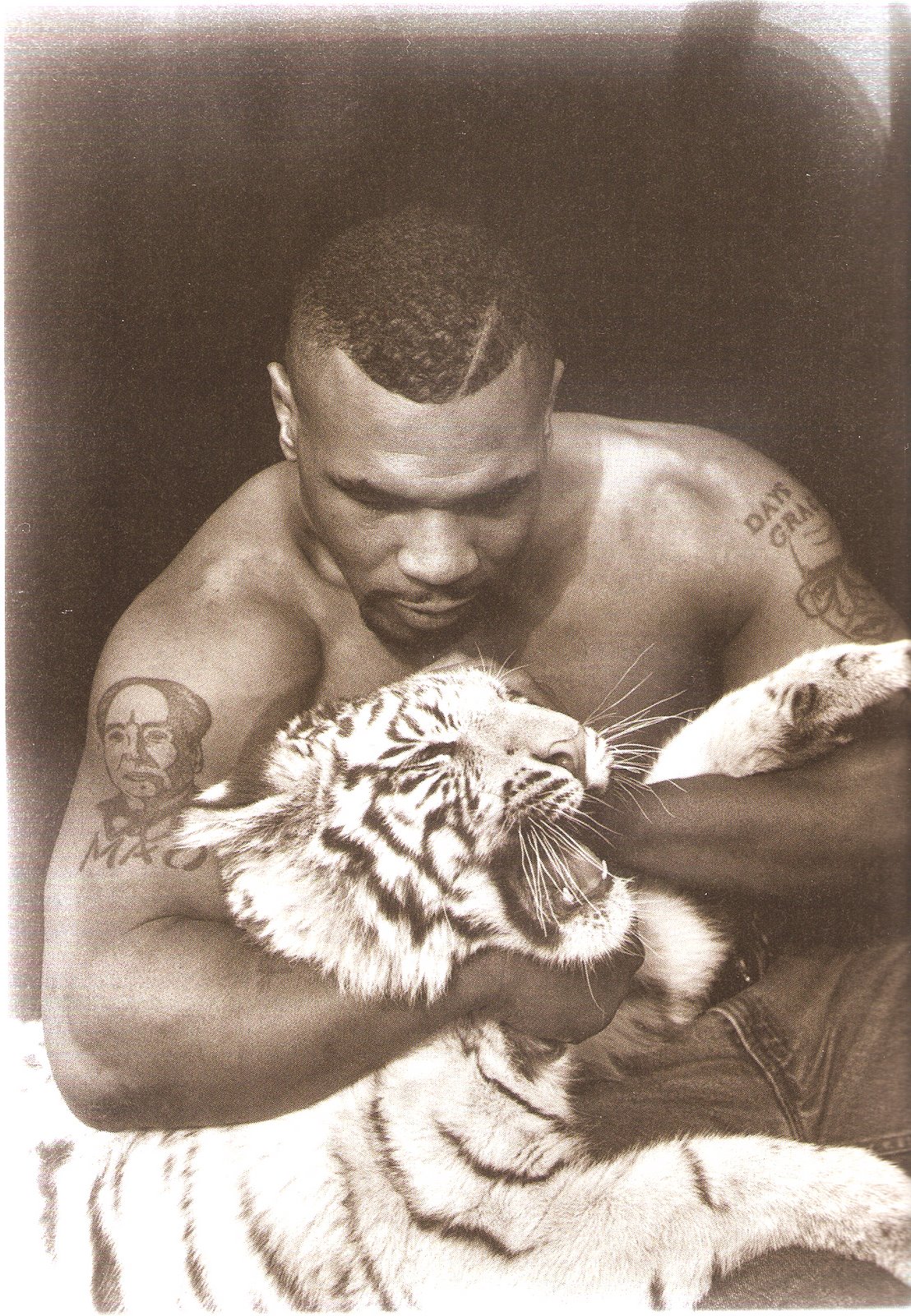 Mike Tyson wallpaper