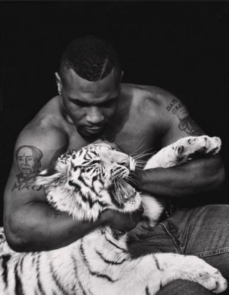 Tyson and his tiger. Mike tyson, Tyson, Boxing posters