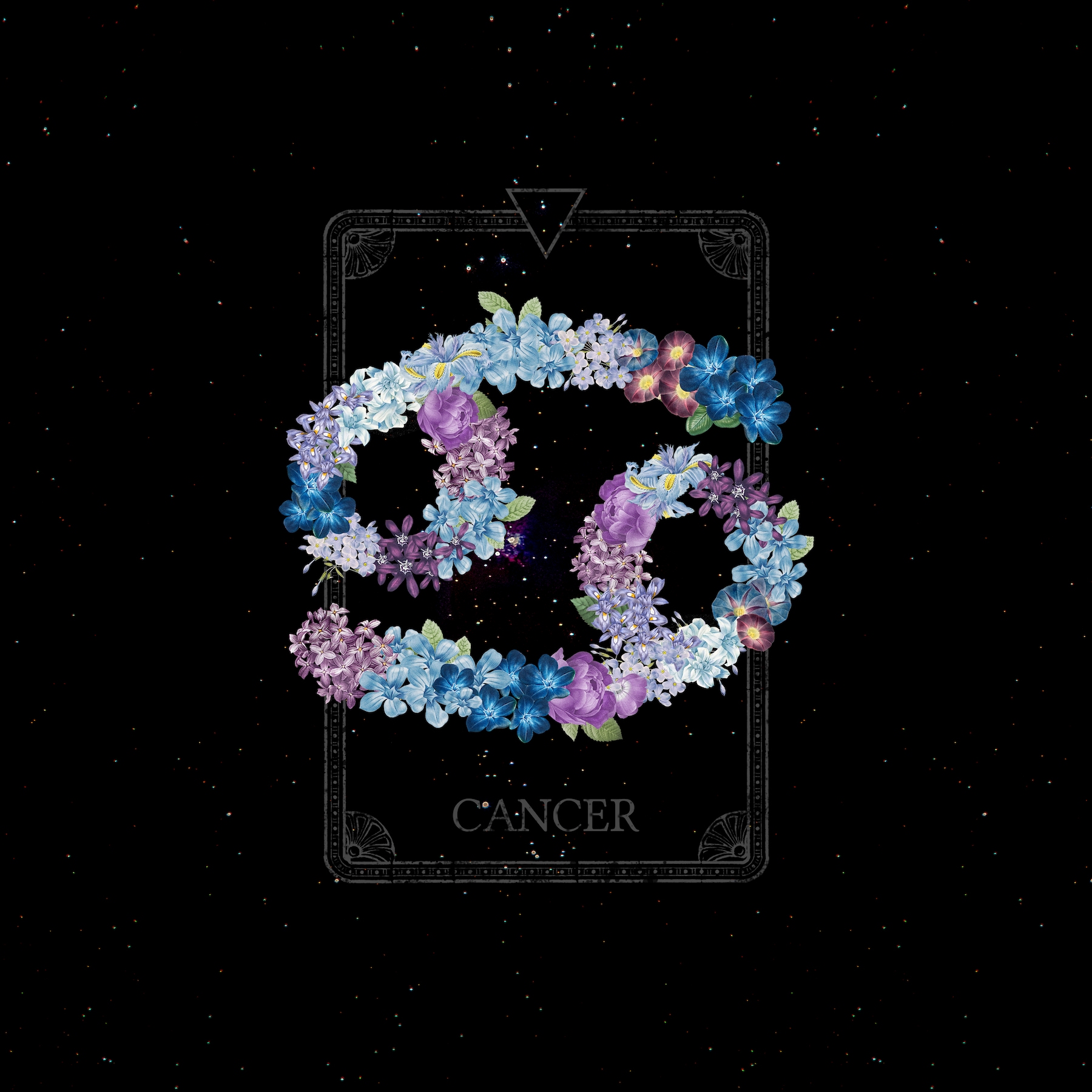 Floral Zodiac Sign Cancer Wallpaper