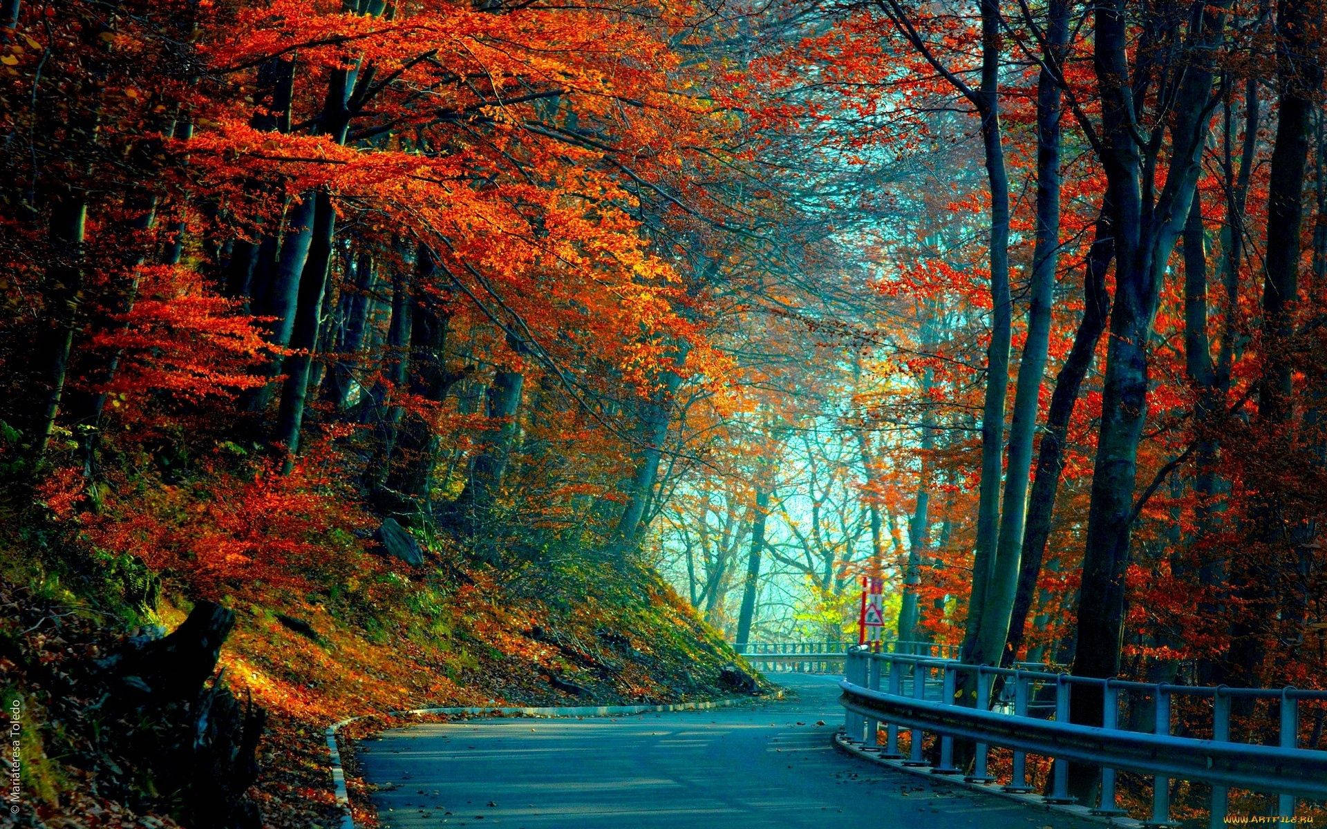 Autumn Wallpaper