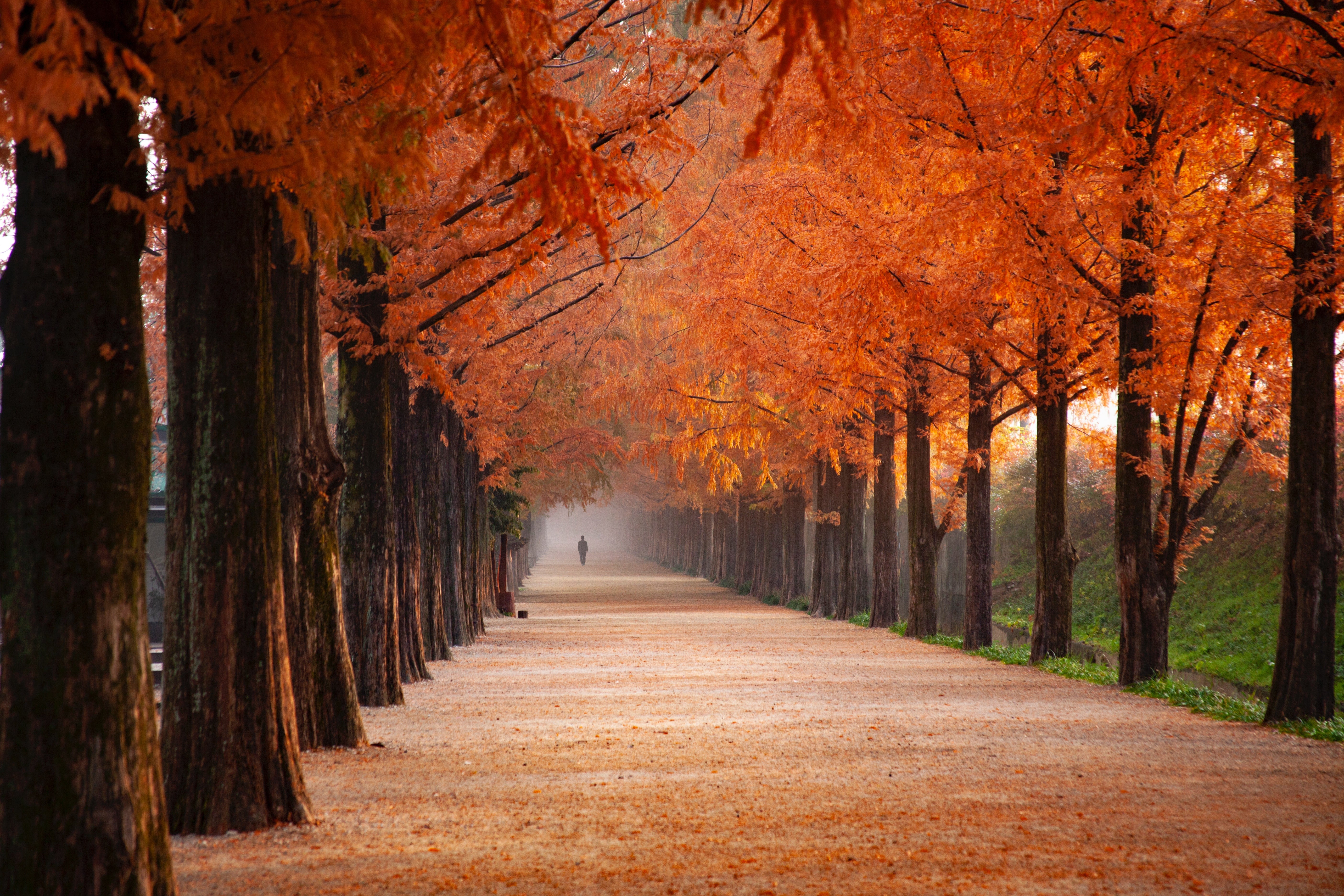 Beautiful and Cozy Fall Computer Background