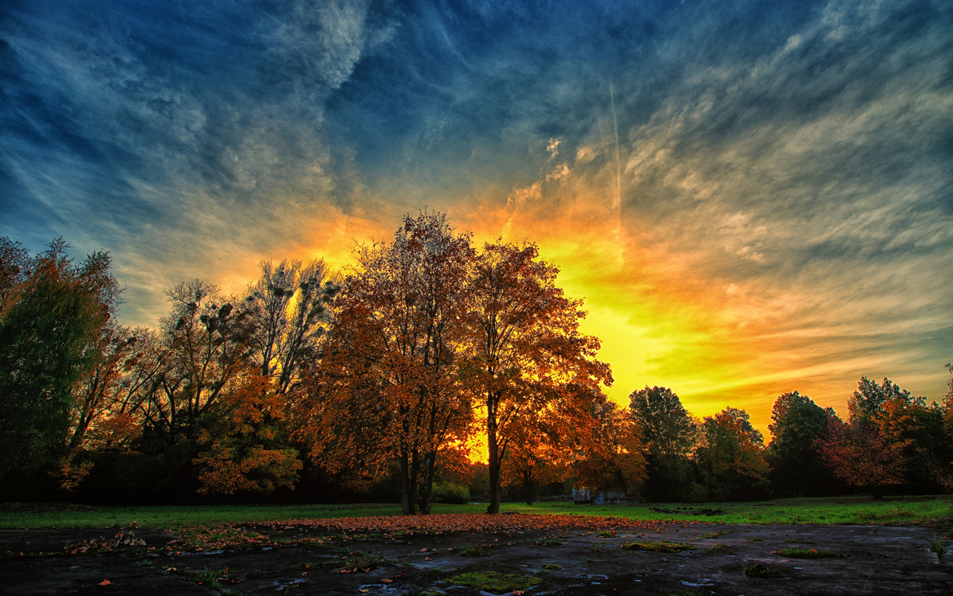 HD desktop wallpaper: Nature, Sunset, Sky, Tree, Fall, Earth download free picture