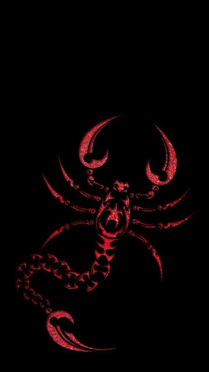 Scorpio Wallpaper
