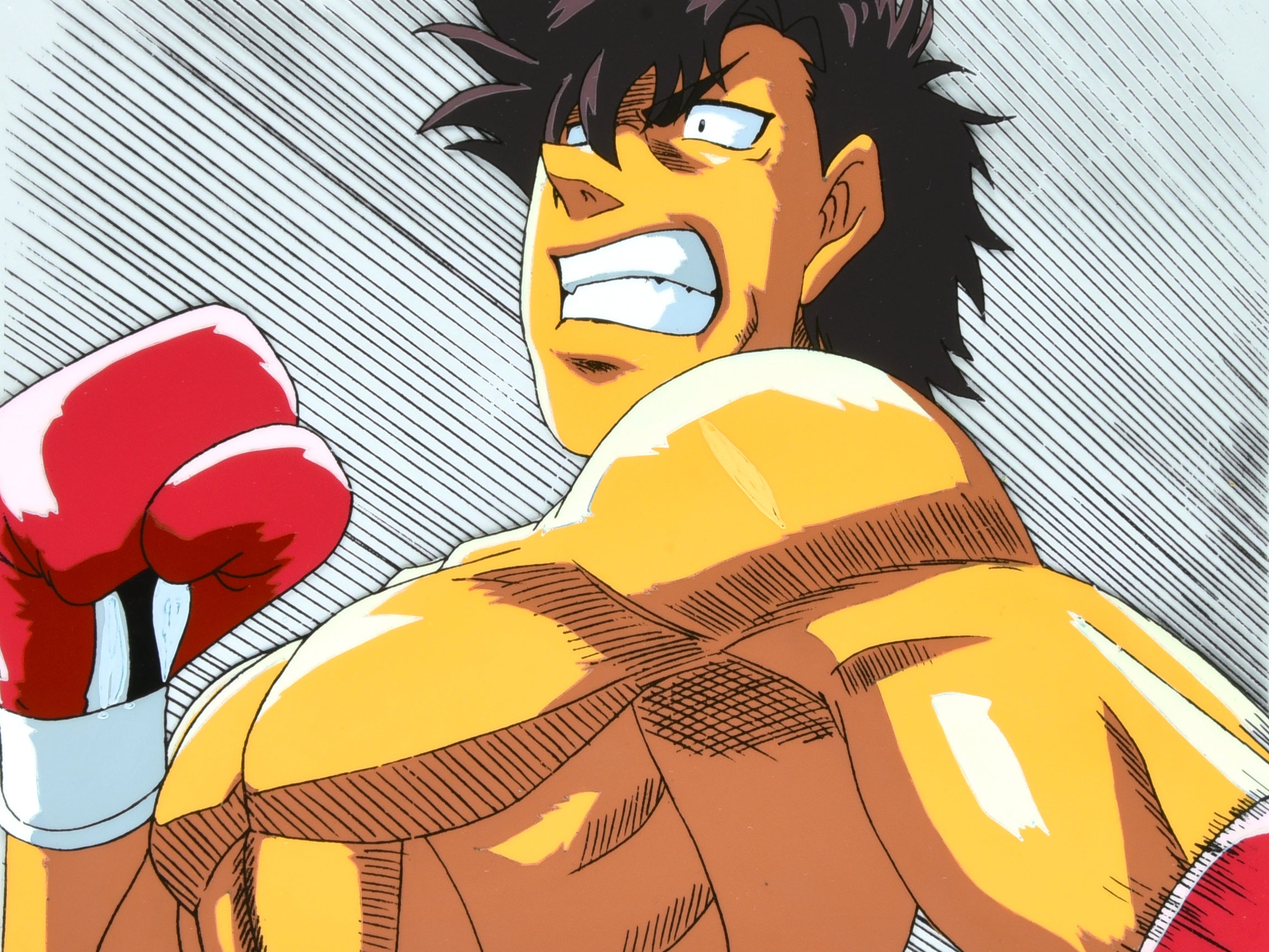 Hajime No Ippo wallpaper : r/iphonewallpapers