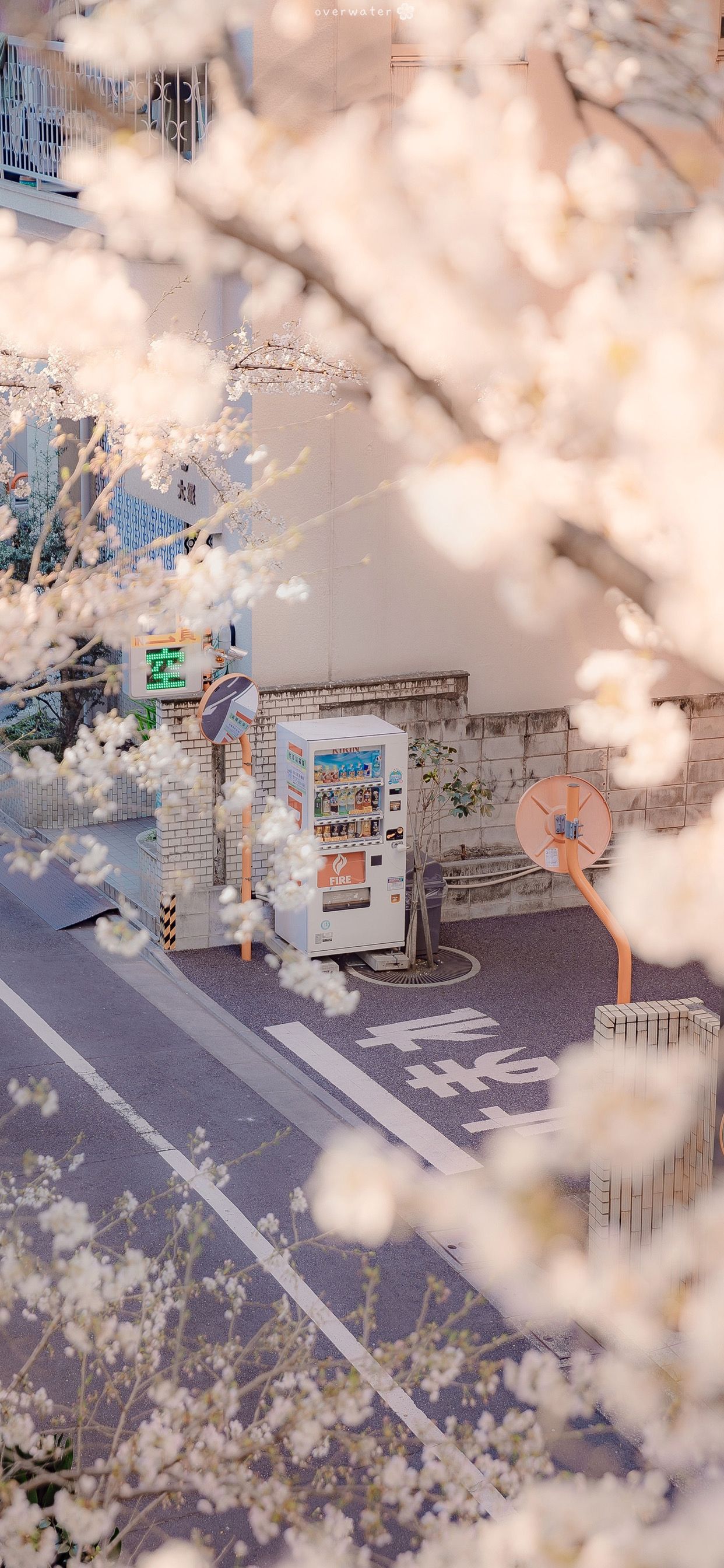 Sakura Airi, vending machine, Japan, vertical, portrait displayx2688 Wallpaper.cc. Scenery wallpaper, Scenery, Anime scenery