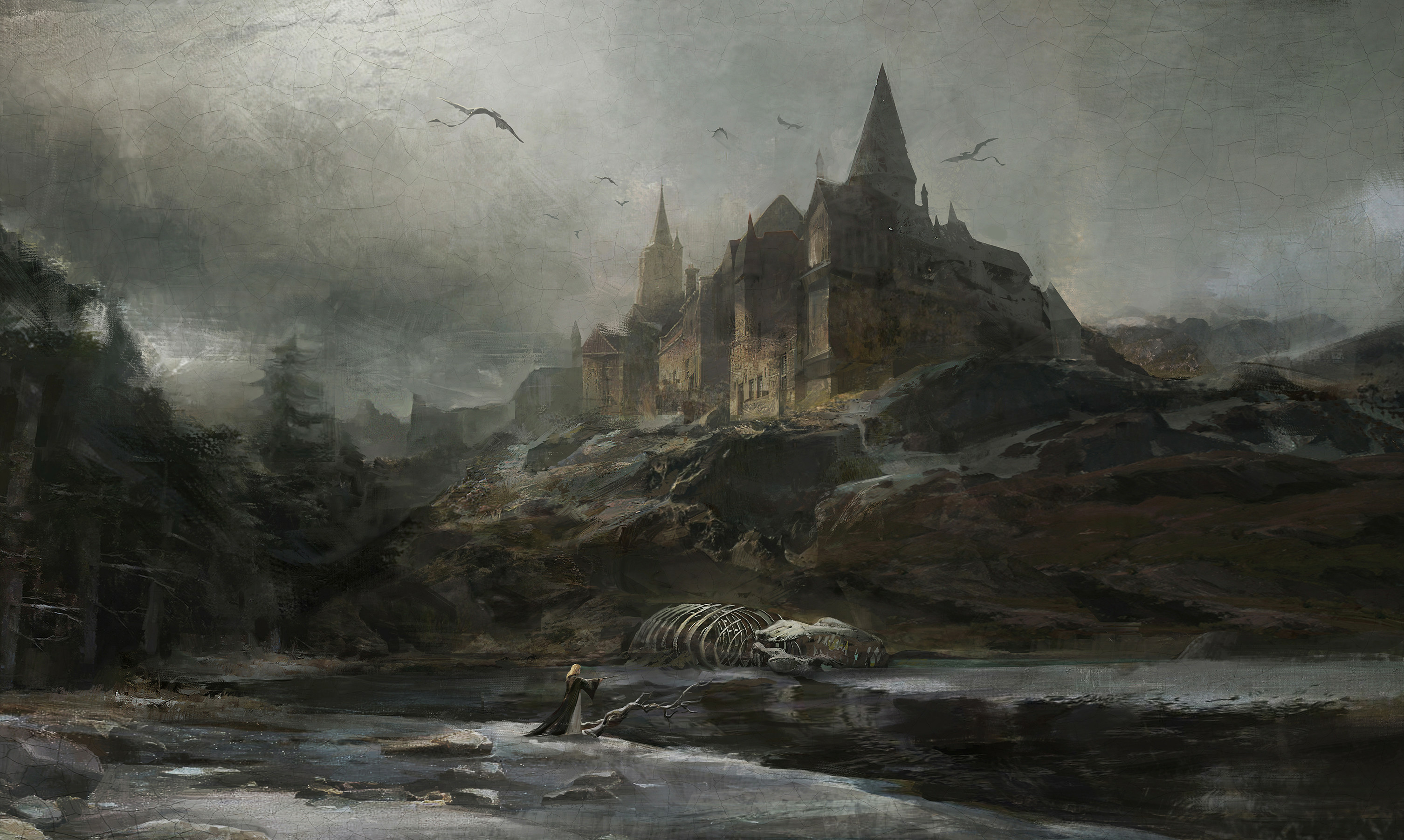 Harry Potter HD Wallpaper and Background