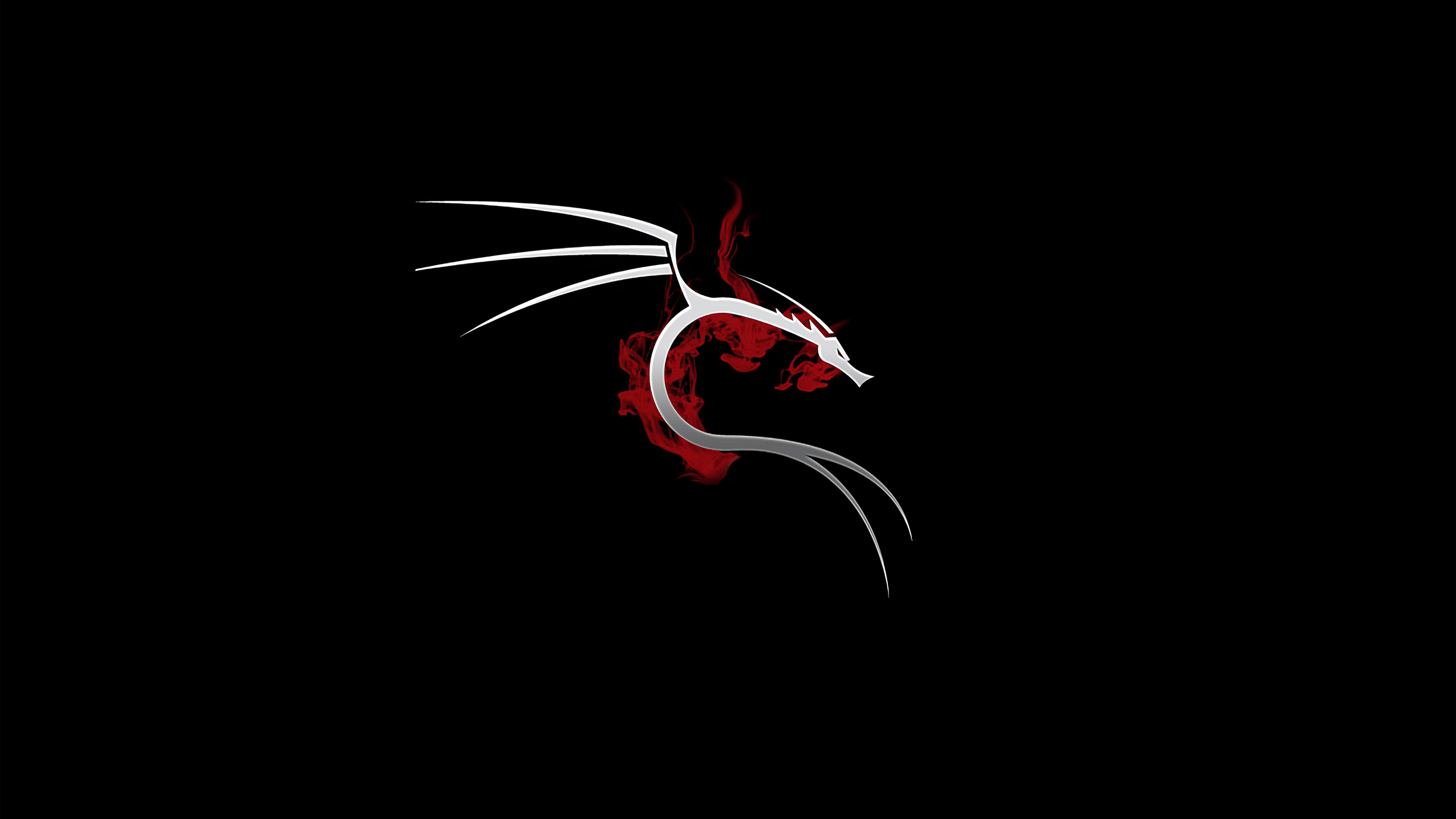 Kali Linux 4k 1440P Resolution HD 4k Wallpaper, Image, Background, Photo and Picture