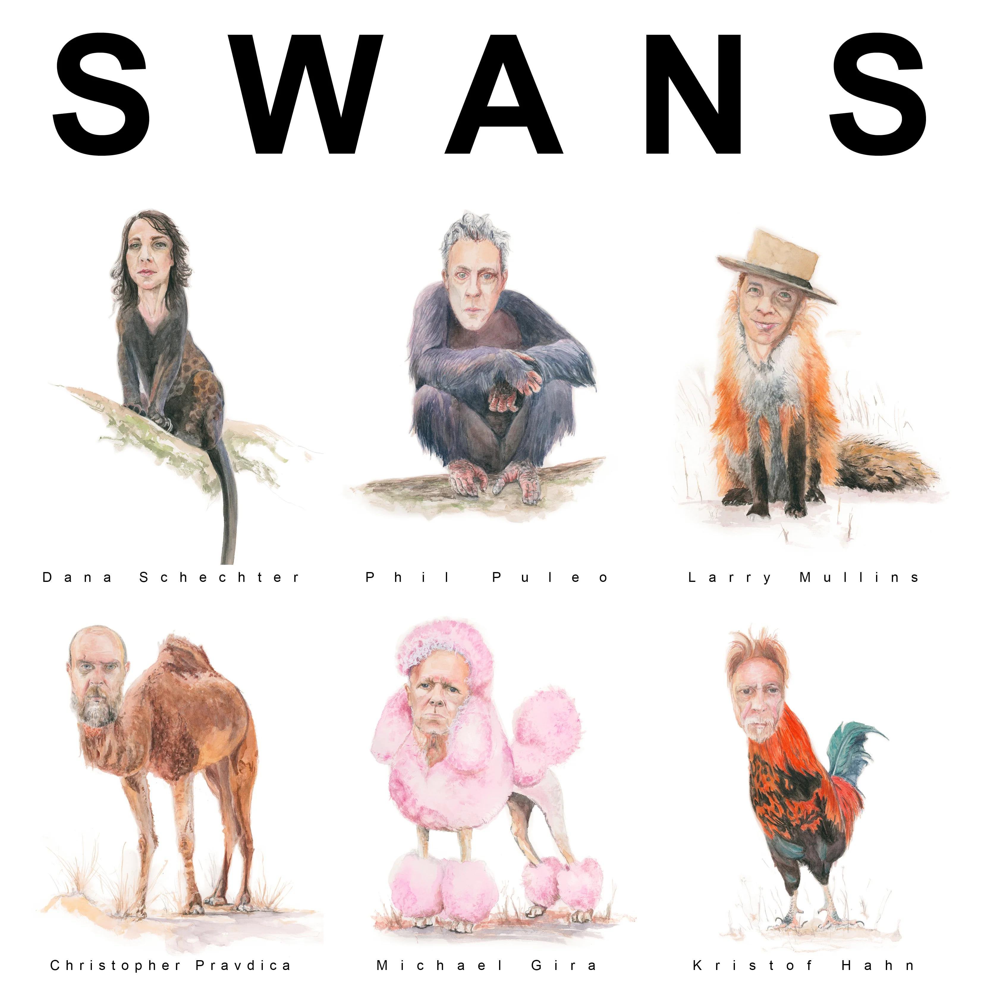 Swans Band Wallpapers - Wallpaper Cave