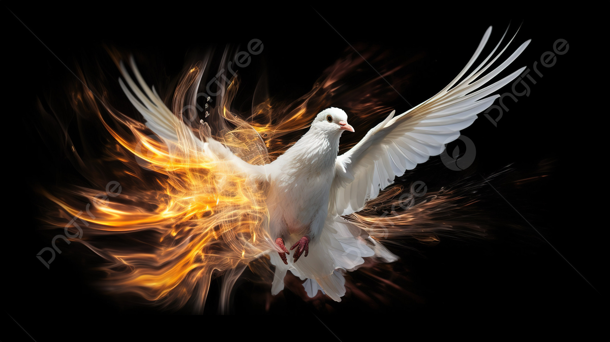 Dove In Flames Stock HD Wallpaper Background, Holy Spirit Picture Background Image And Wallpaper for Free Download