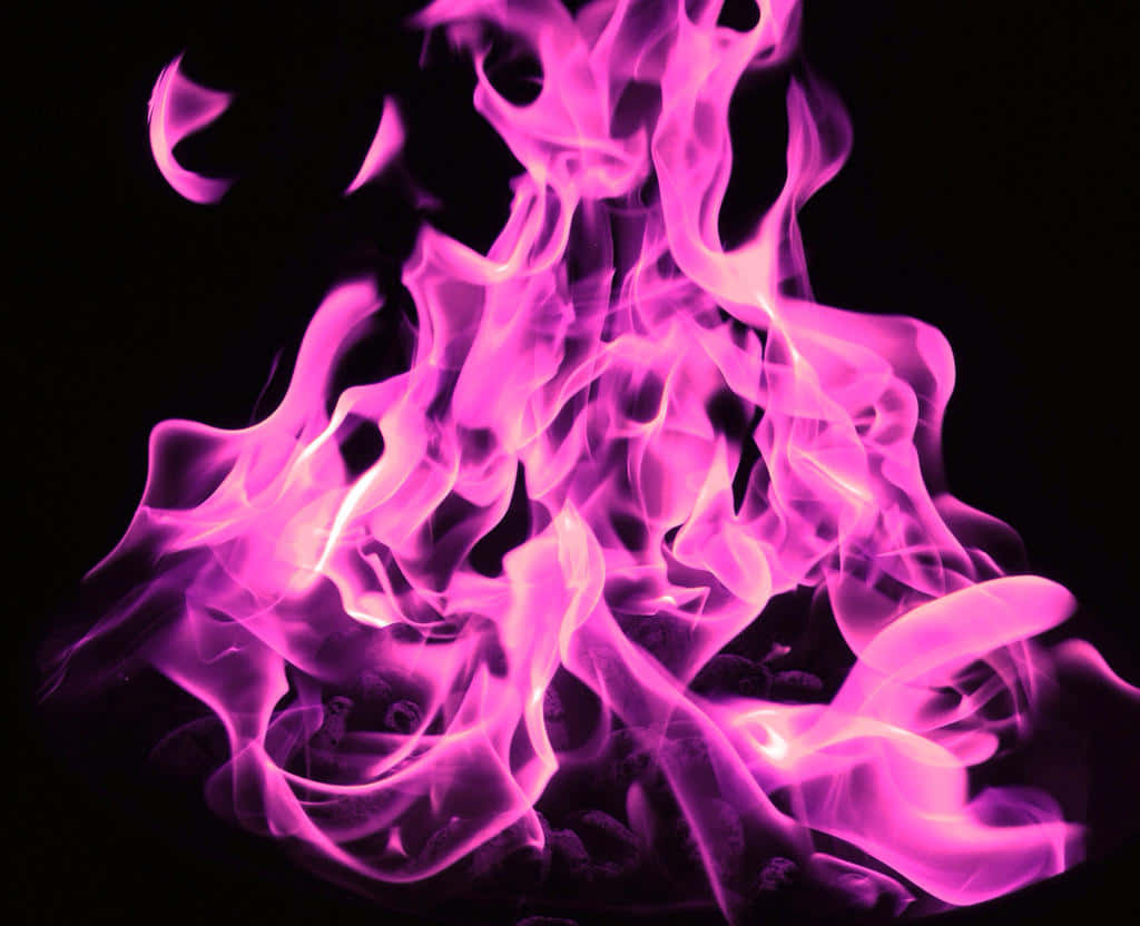 Pink Flames Wallpaper