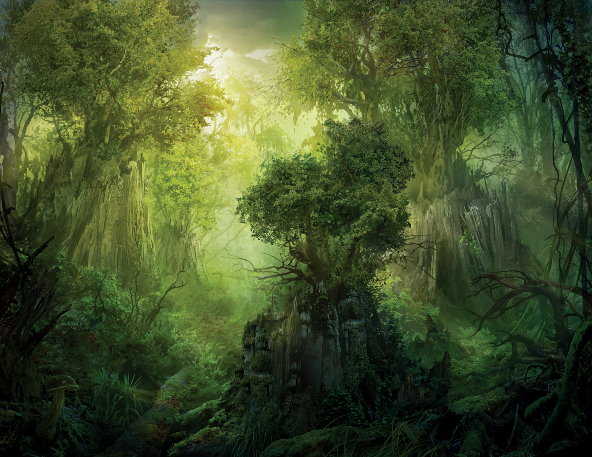 The Gathering HD Wallpaper