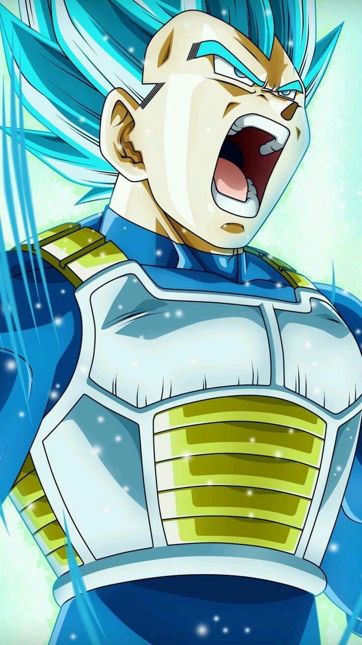 Vegeta ssjb. Anime dragon ball, Anime dragon ball super, Dragon ball z