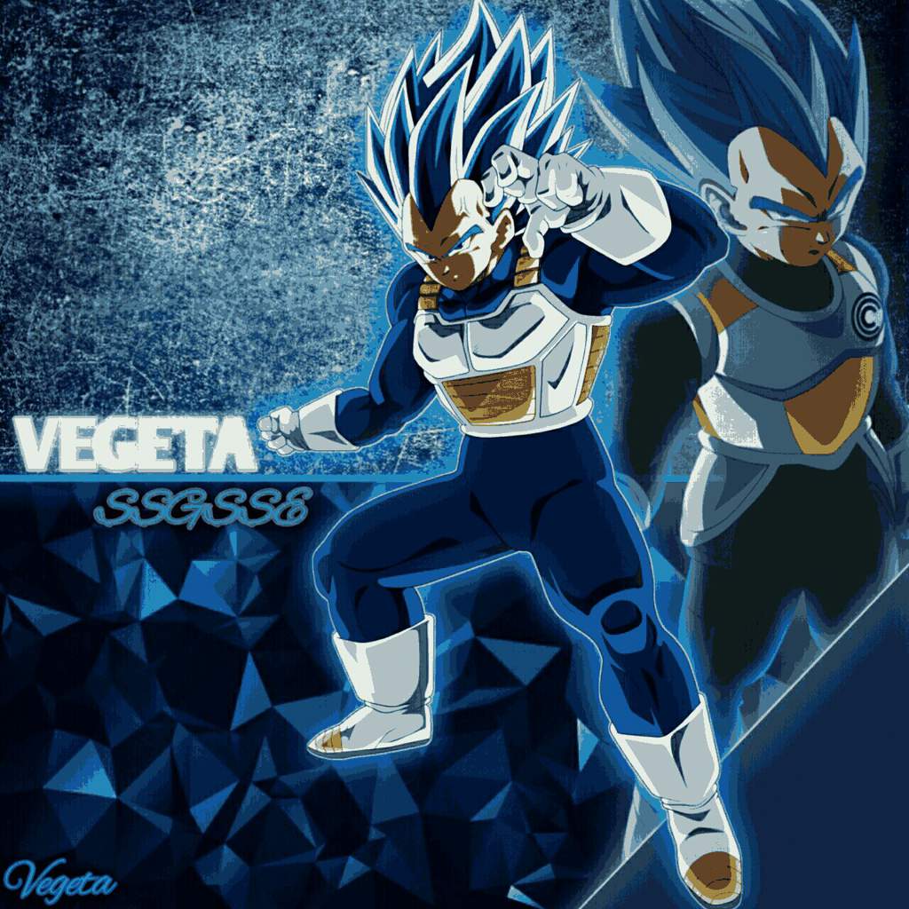 Vegeta SSB Evolution edit