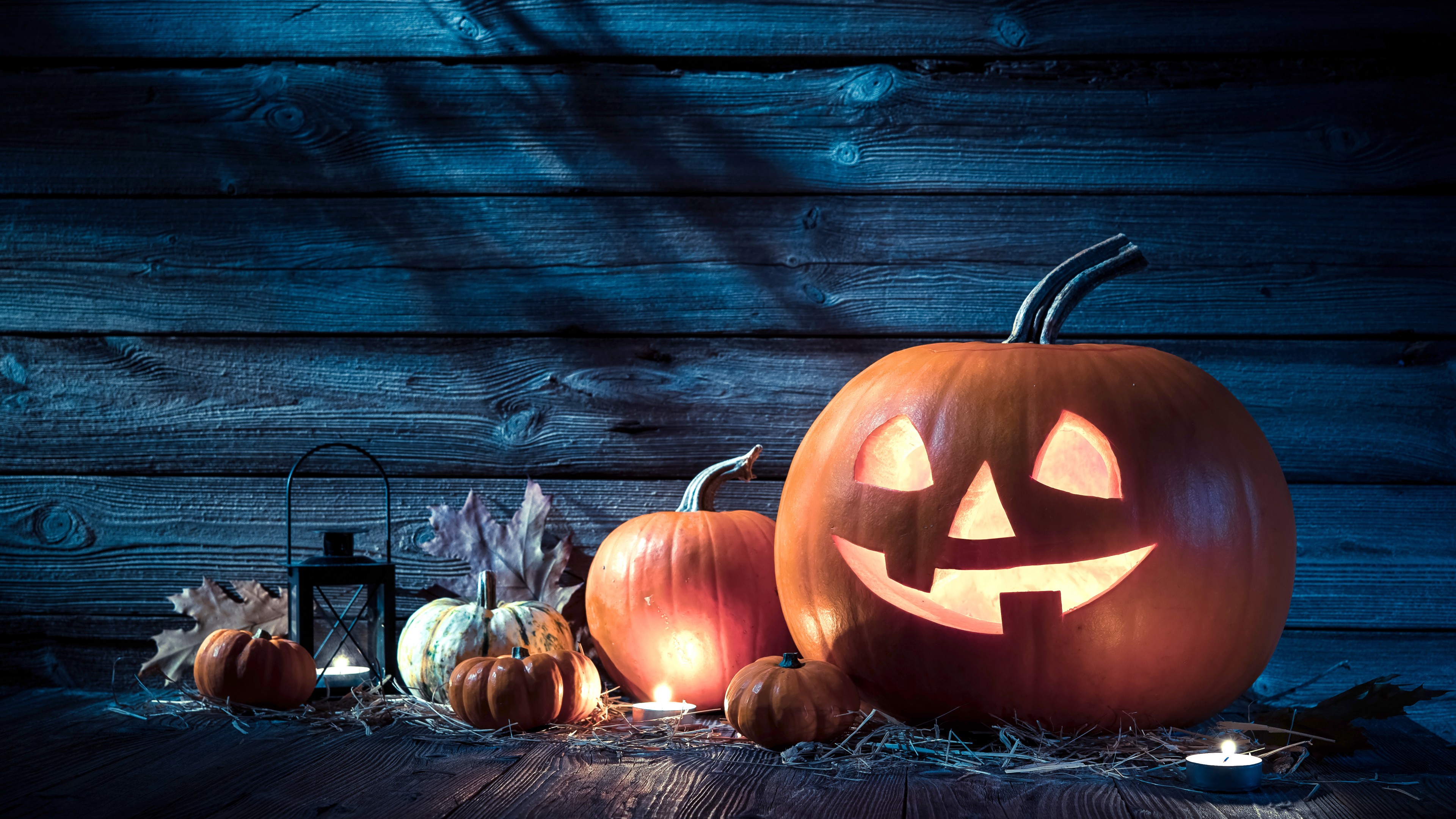 Wallpaper Holiday, Halloween, 31 october, pumpkin host, Holidays