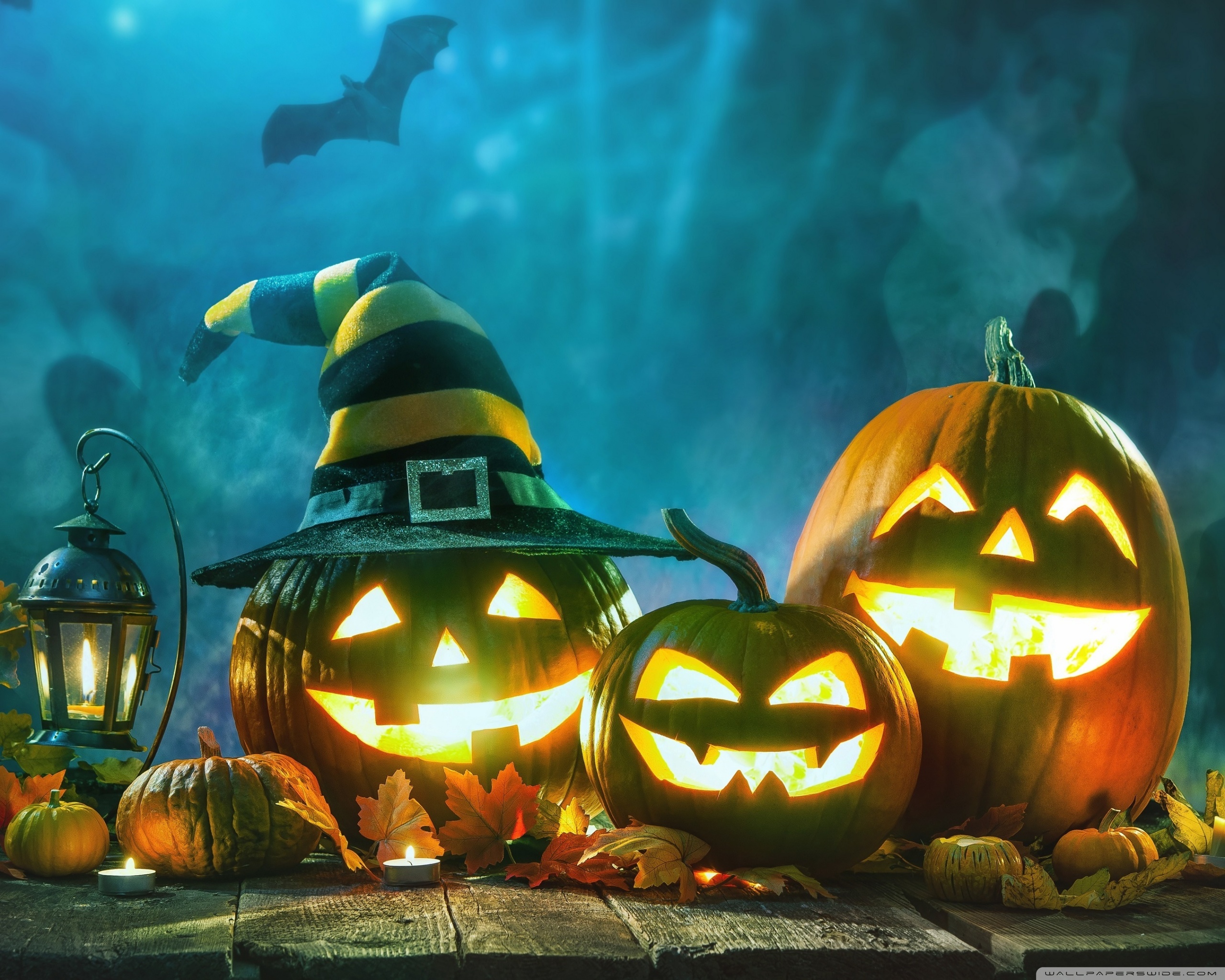 Halloween Pumpkins Jack O Lanterns Ultra HD Desktop Background Wallpaper for 4K UHD TV, Widescreen & UltraWide Desktop & Laptop, Multi Display, Dual Monitor, Tablet