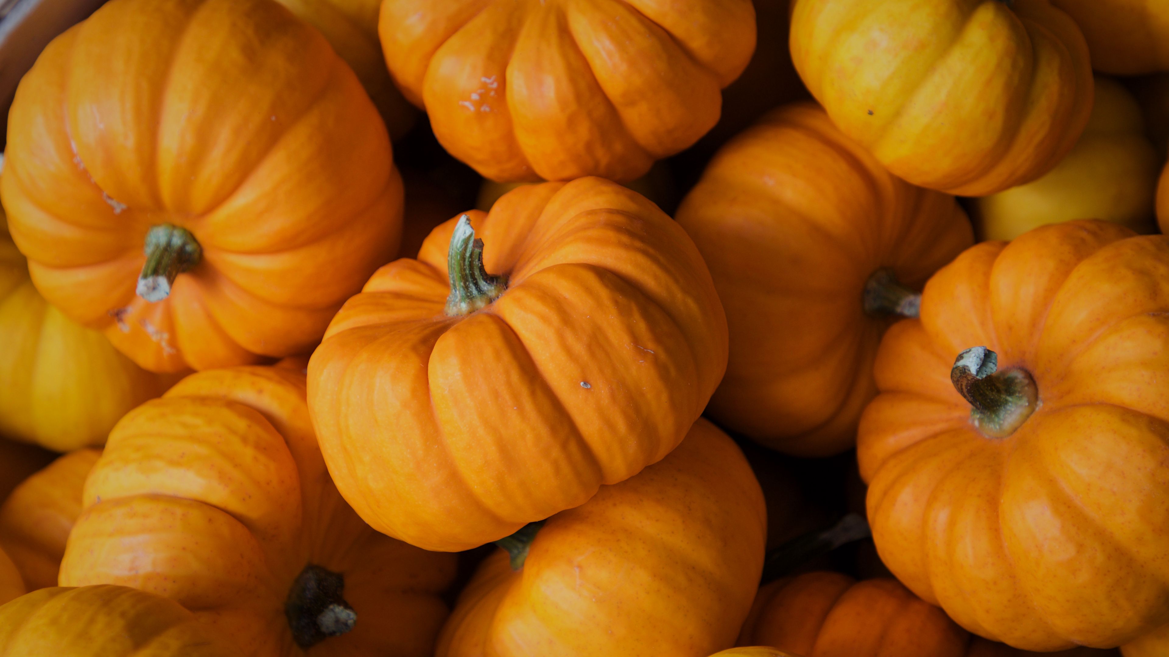 Download wallpaper 3840x2160 pumpkin, autumn, vegetable 4k uhd 16:9 HD background