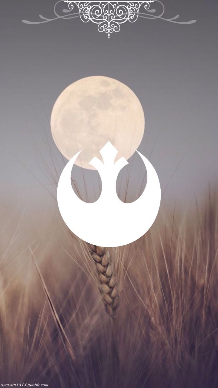 Assassins can fly. Star wars background, Star wars wallpaper, Star wars painting