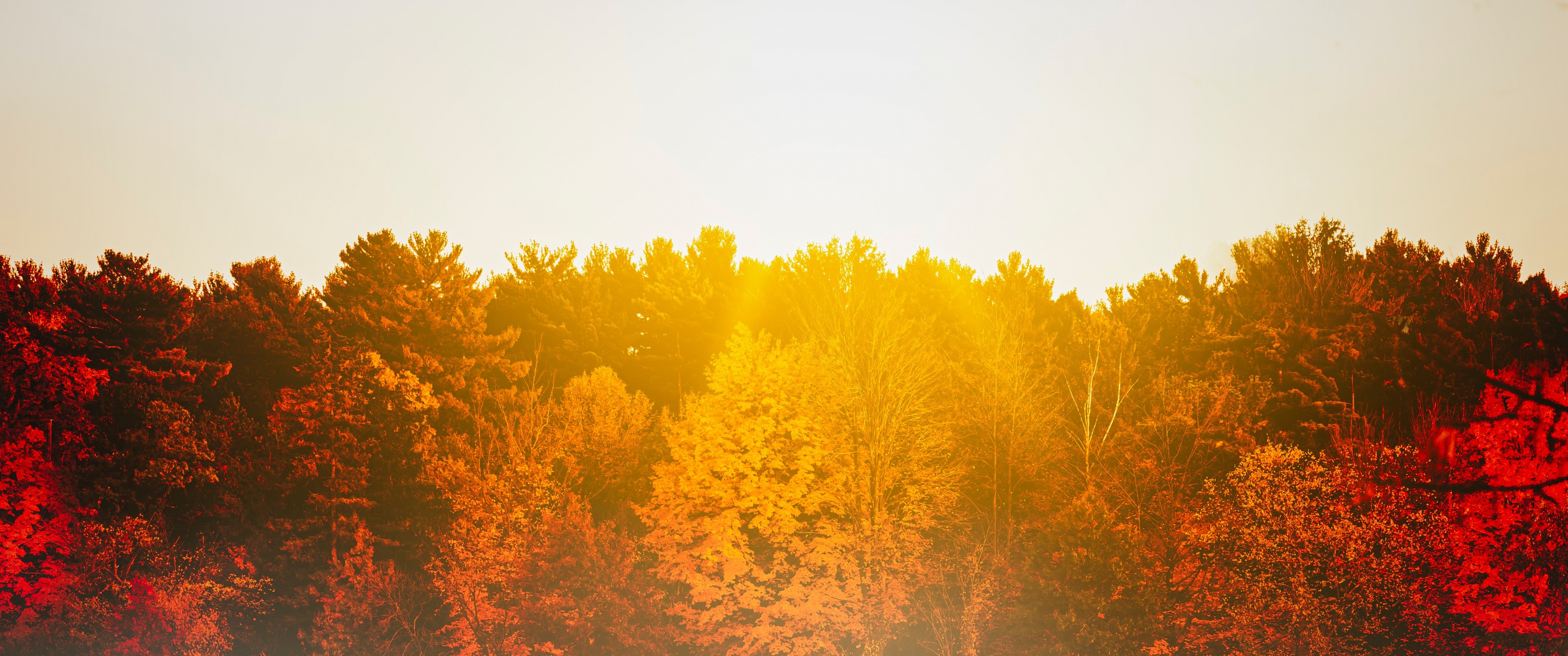 Autumn trees Wallpaper 4K, Body of Water, Sunflare, Sunrise