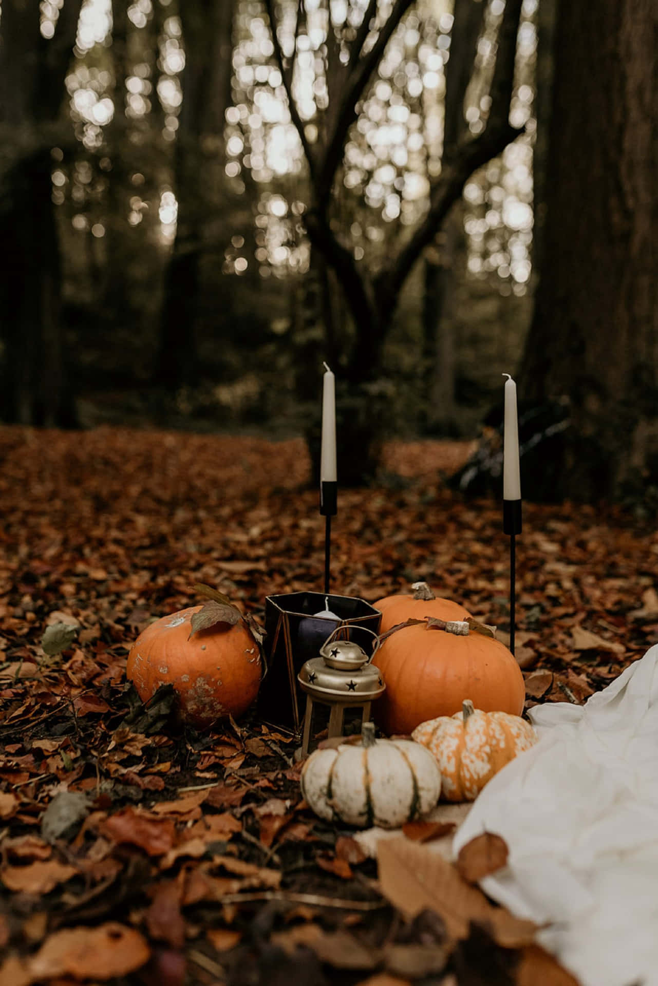 Download Pumpkins Candles And A Lamp Aesthetic Autumn Halloween Wallpaper