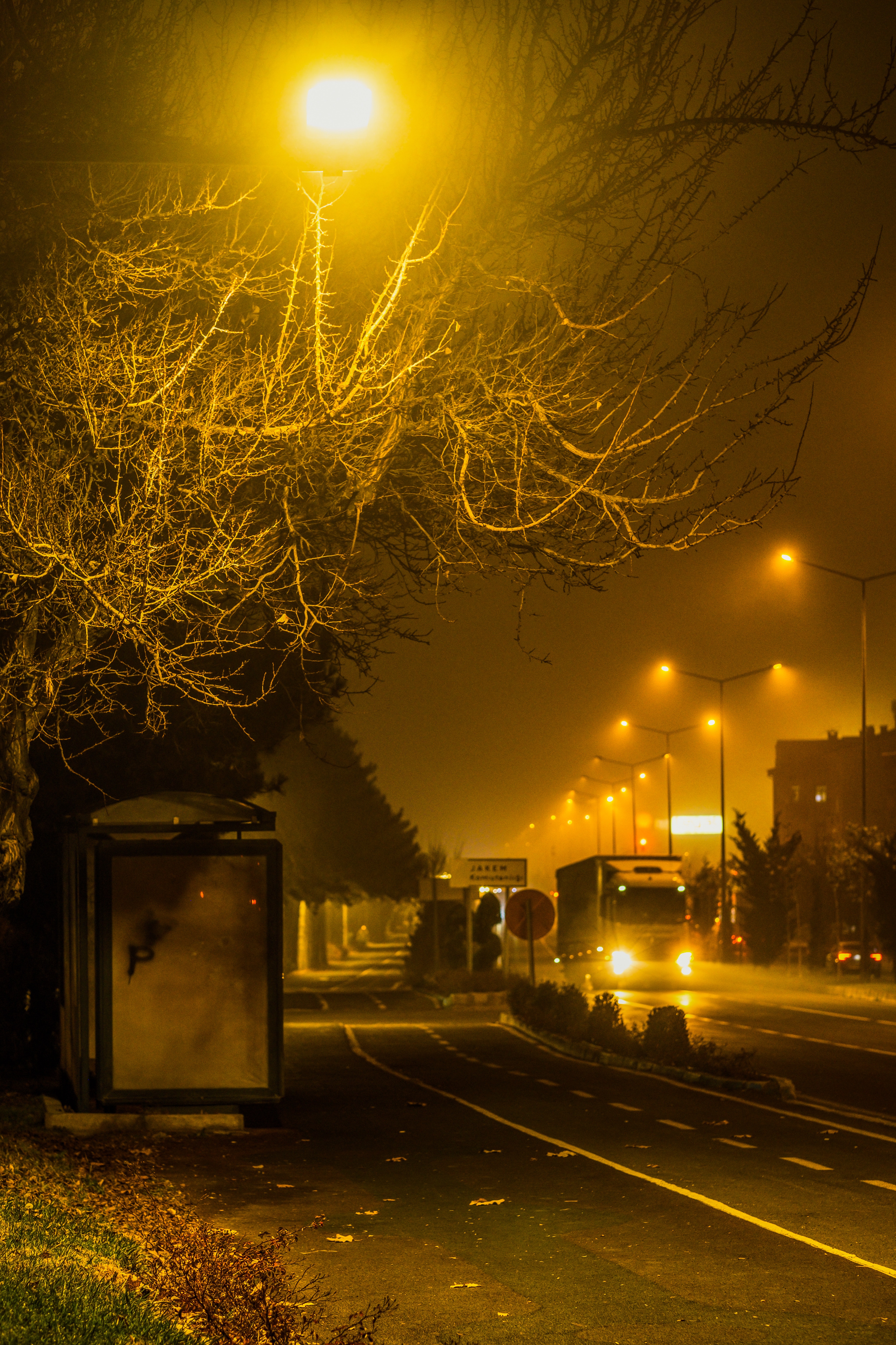 Dim Streetlight at Night in Fog · Free