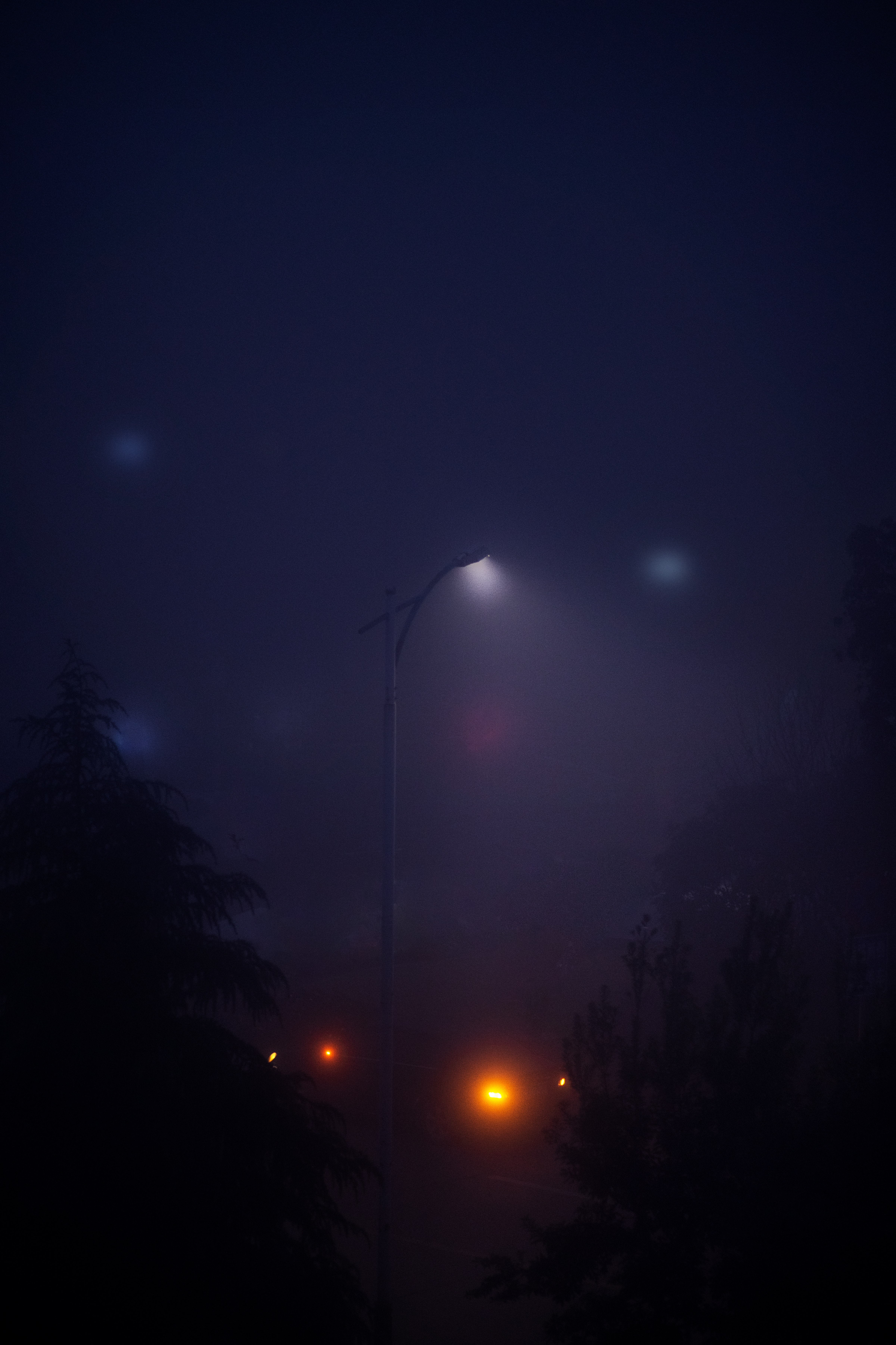 Photograph of a Street Lamp on a Foggy Weather · Free