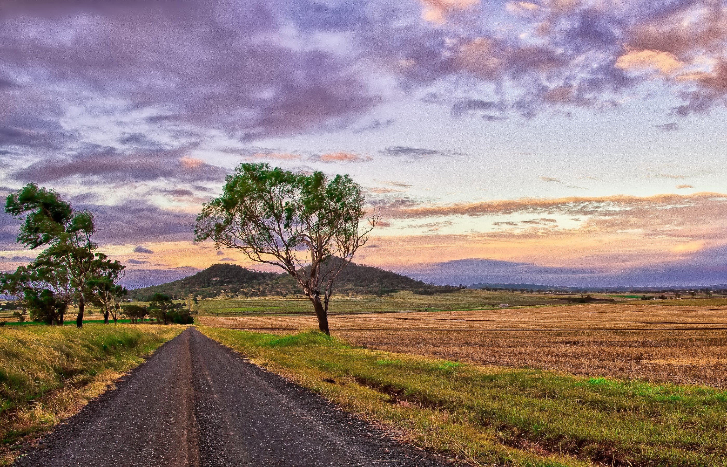 Wallpaper, 2800x1800 px, field, nature, road, sunset 2800x1800