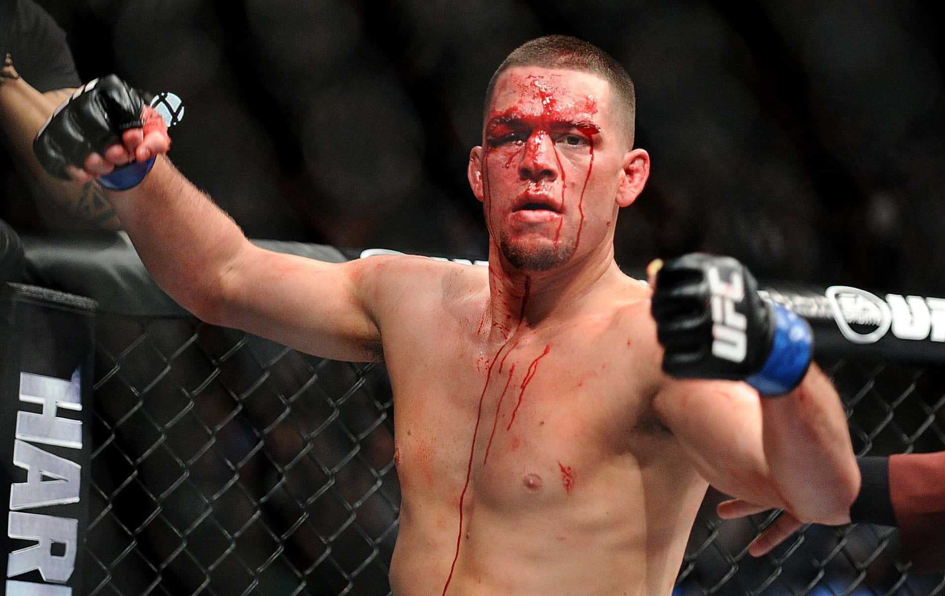Download American Mixed Martial Artist Nate Diaz Bloody Face Wallpaper