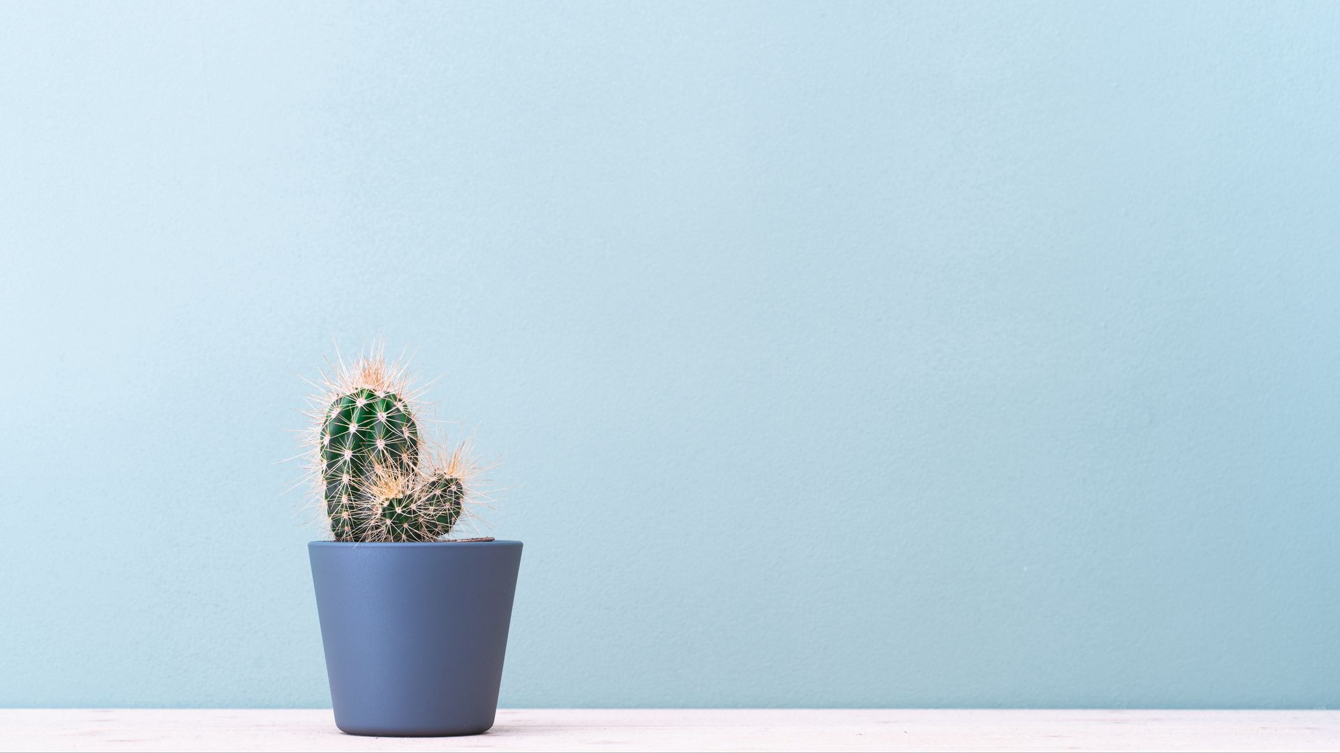Download wallpaper 1920x1080 cactus, plant, minimalism full hd, hdtv, fhd, 1080p HD background