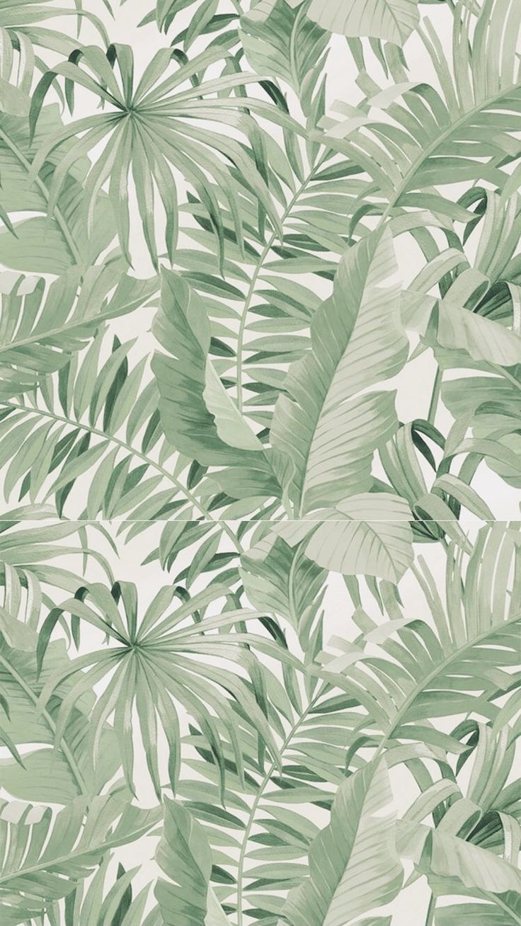 + Aesthetic & Minimal Wallpaper. Minimal wallpaper, Mint green wallpaper, Tropical wallpaper