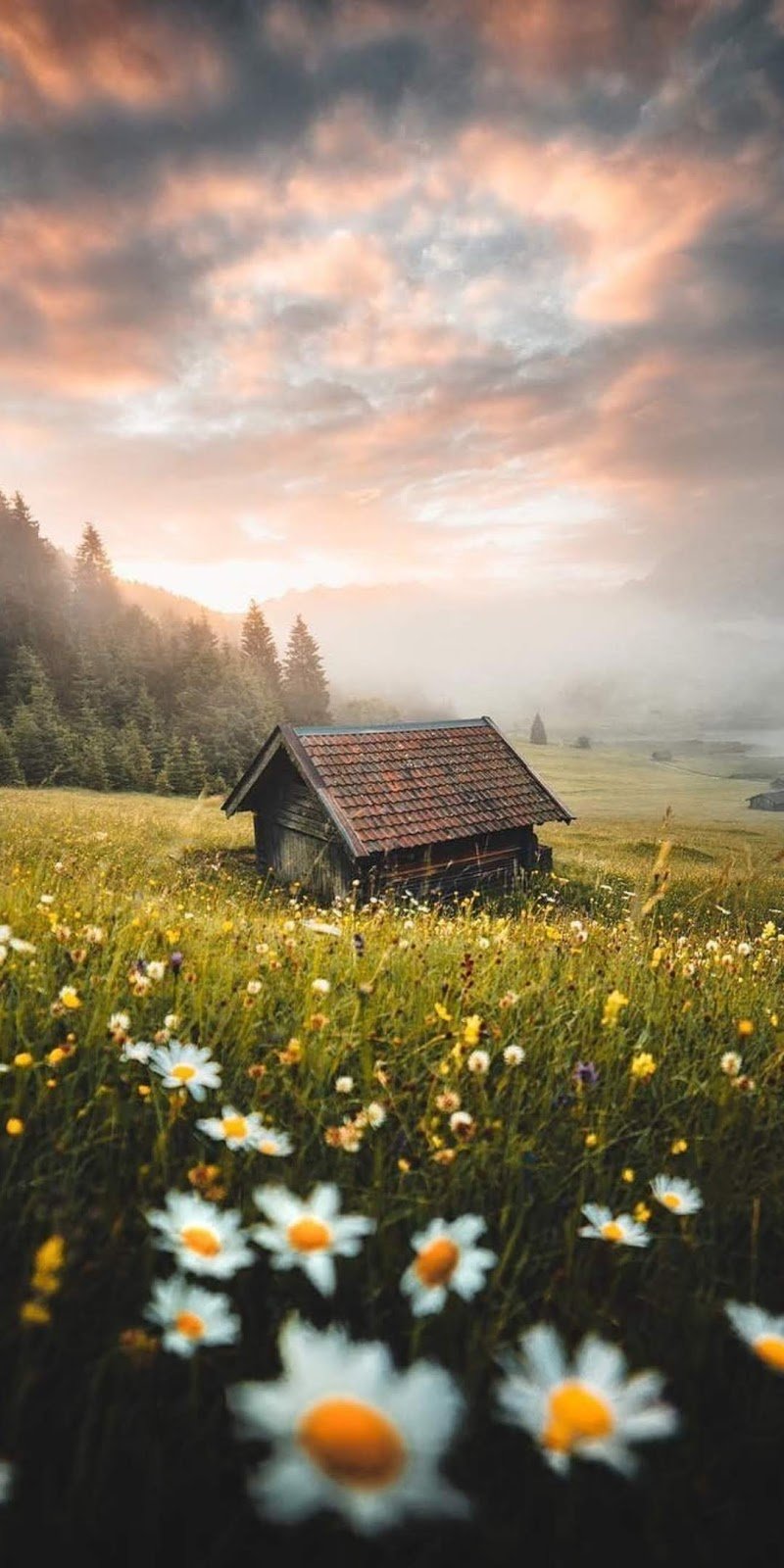 Nature beautiful view Wallpaper Download