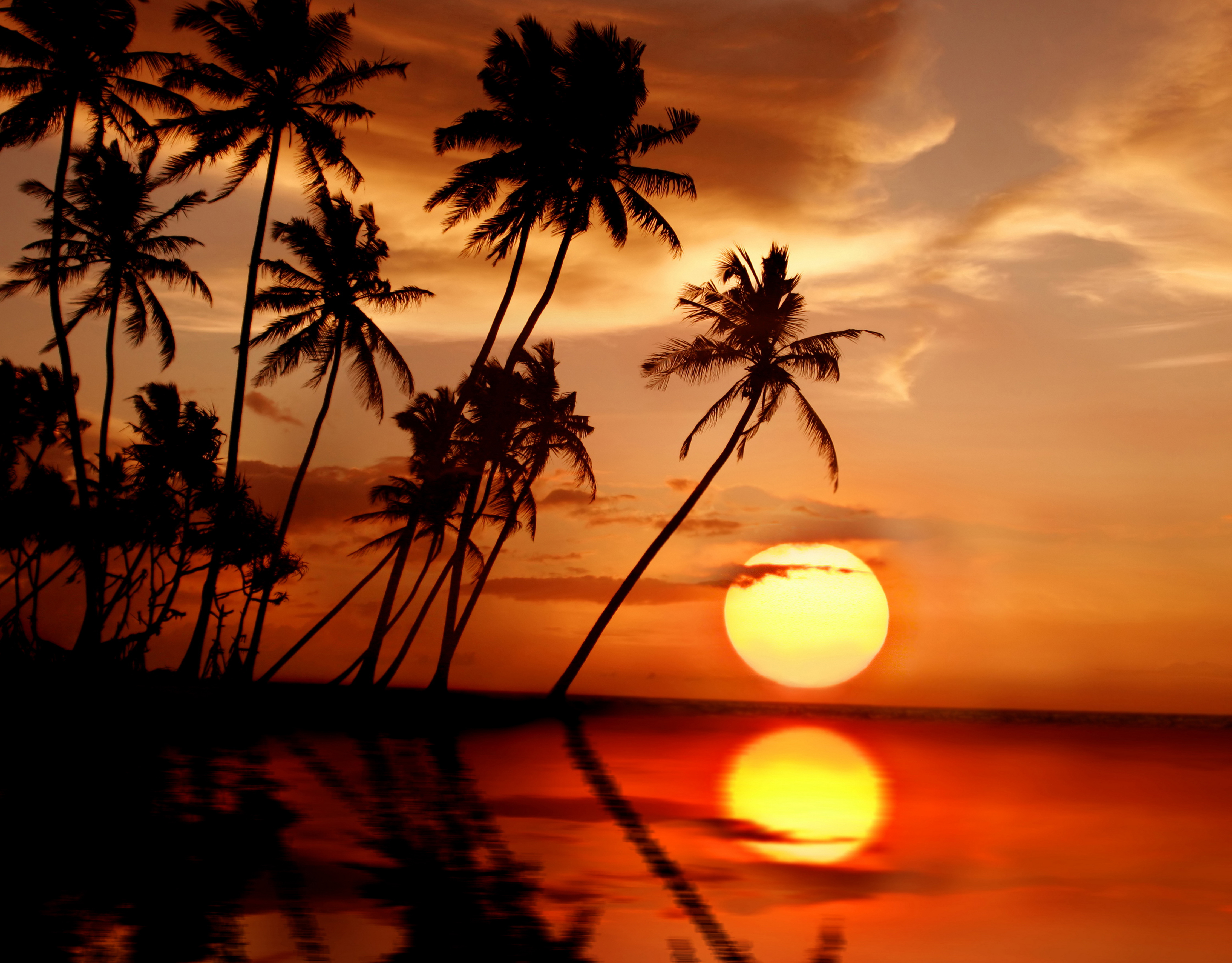 Amazing Views, Cool Nature Photo, Nature Wallpaper For Samsung