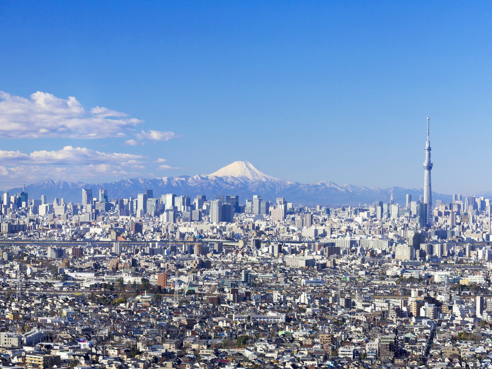Tokyo in winter: what to do