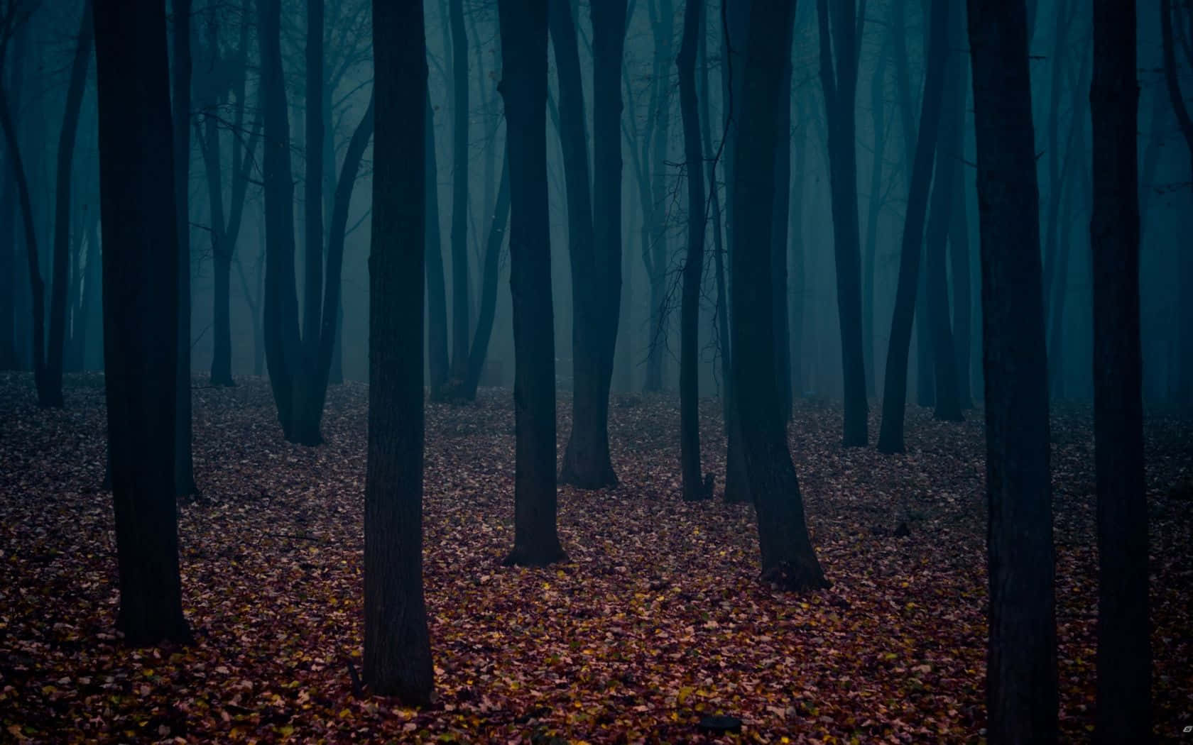 Dark Autumn Wallpaper