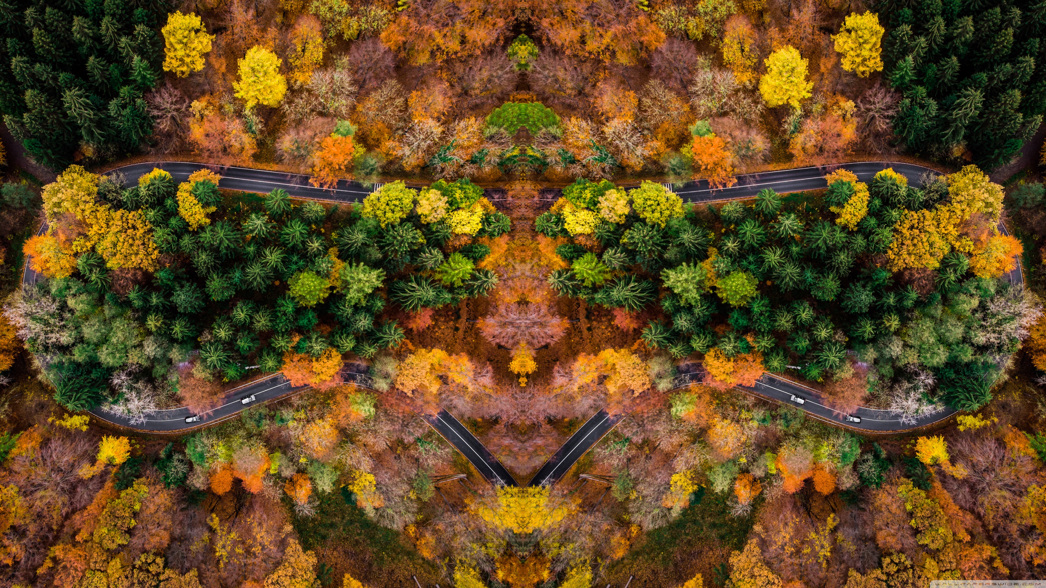 Autumn Symetric Drone Shot Ultra HD Desktop Background Wallpaper for: Widescreen & UltraWide Desktop & Laptop, Multi Display, Dual Monitor, Tablet