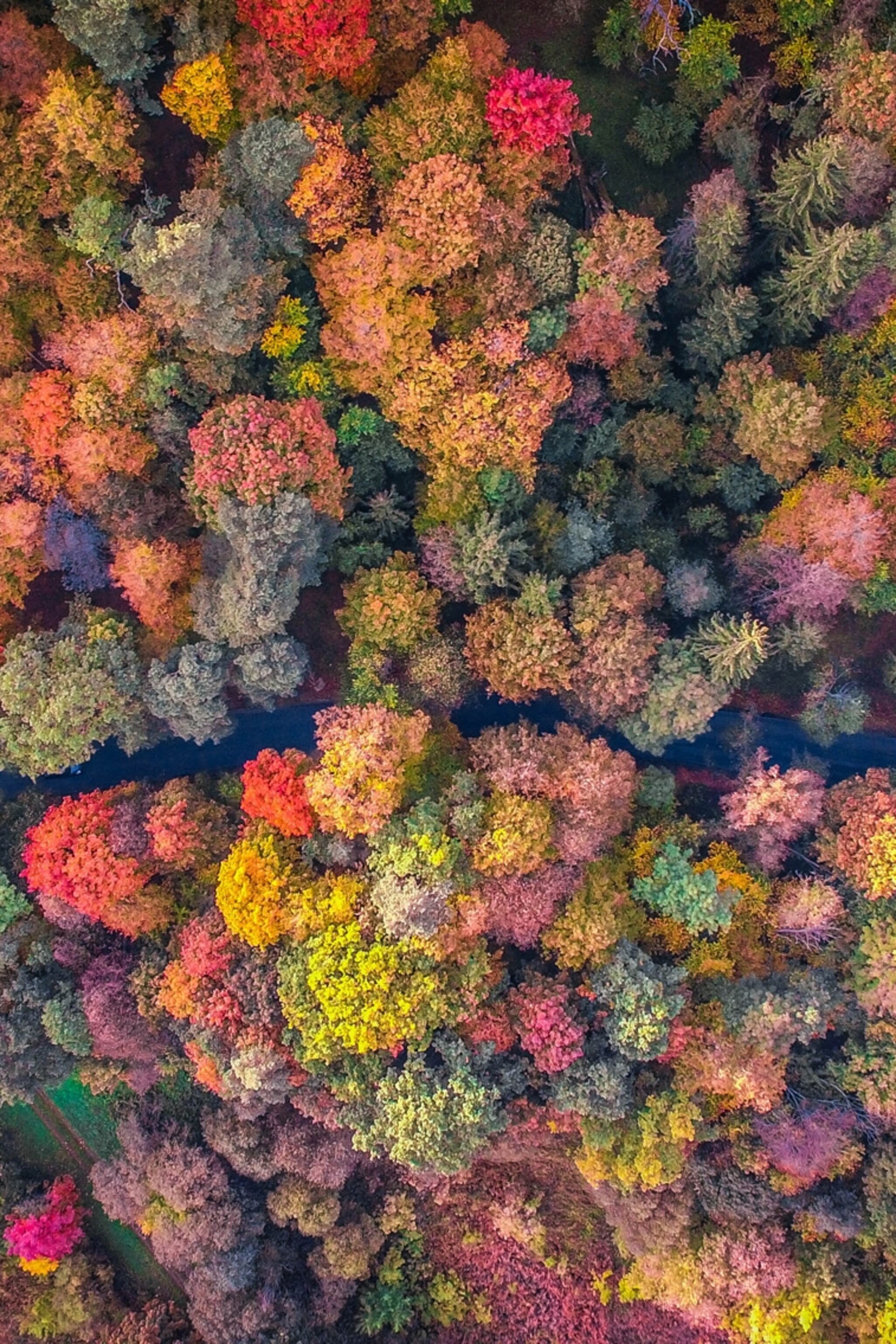 Stunning Fall Picture Taken