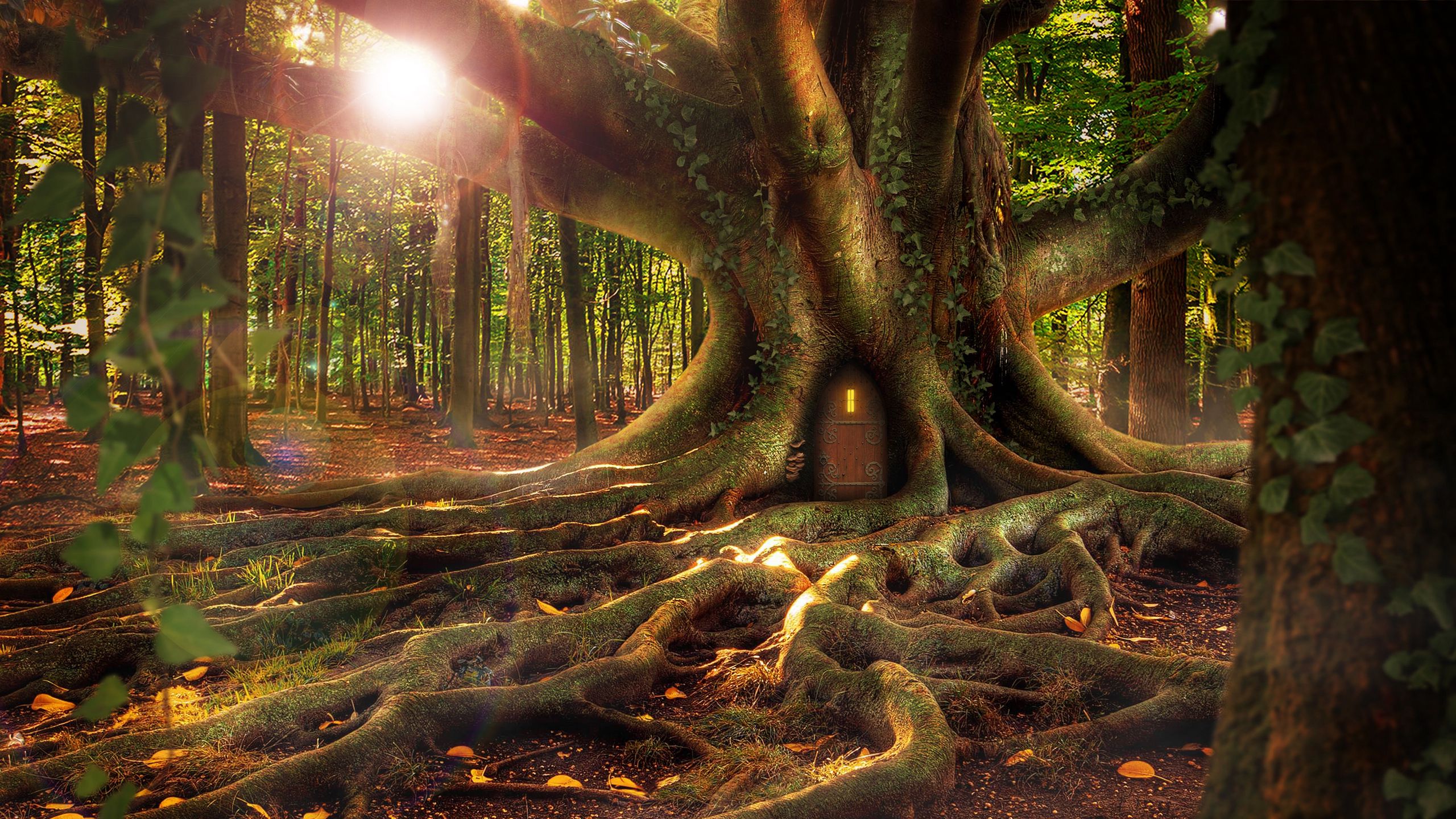 Download wallpaper 2560x1440 house, forest, tree, roots, fantasy widescreen 16:9 HD background